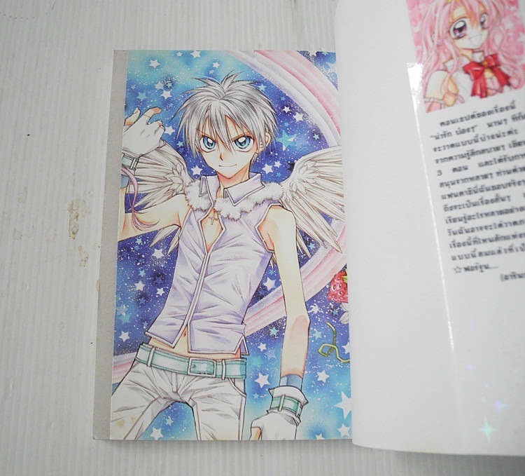 มิสเทรส ฟอร์จูน (เล่มเดียวจบ) / Arina Tanemura
