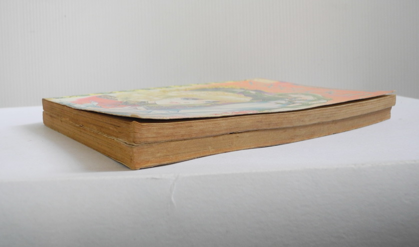 รอยยิ้มสีดำ เล่ม 1-2