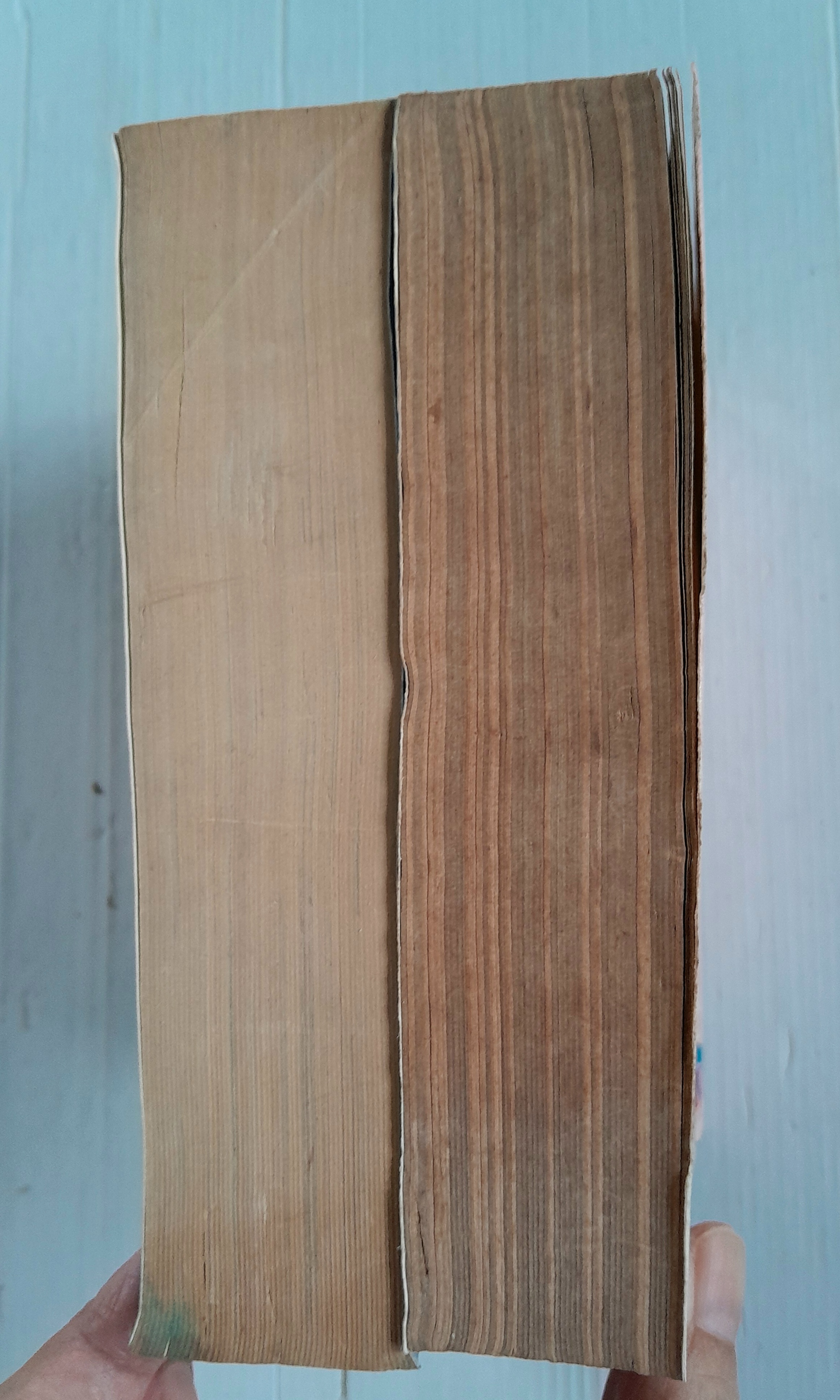 Love Z 2 เล่มจบ / Hiromi Yamasaki