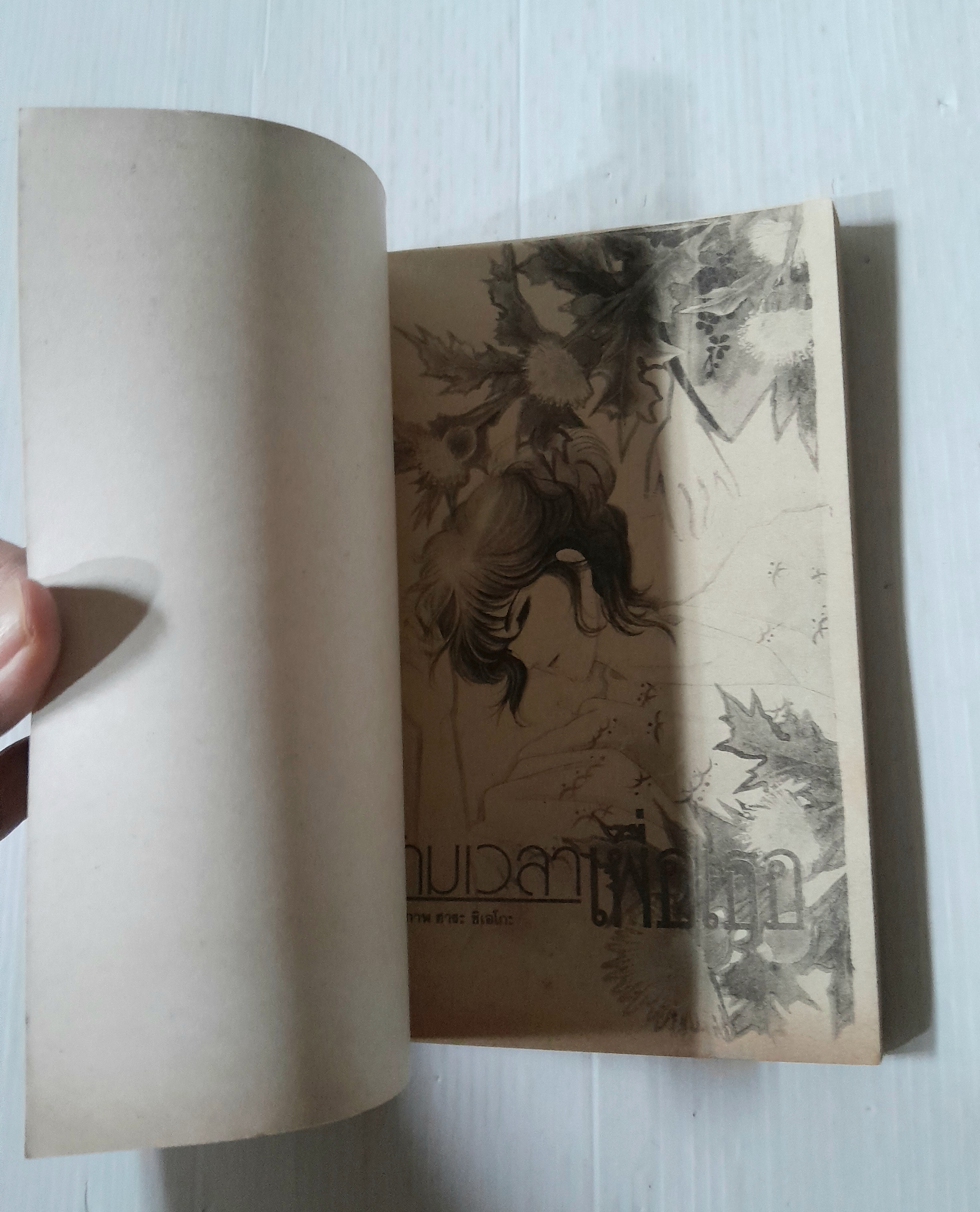 ข้ามเวลาเพื่อเธอ (เล่มเดียวจบ) / Chieko Hara