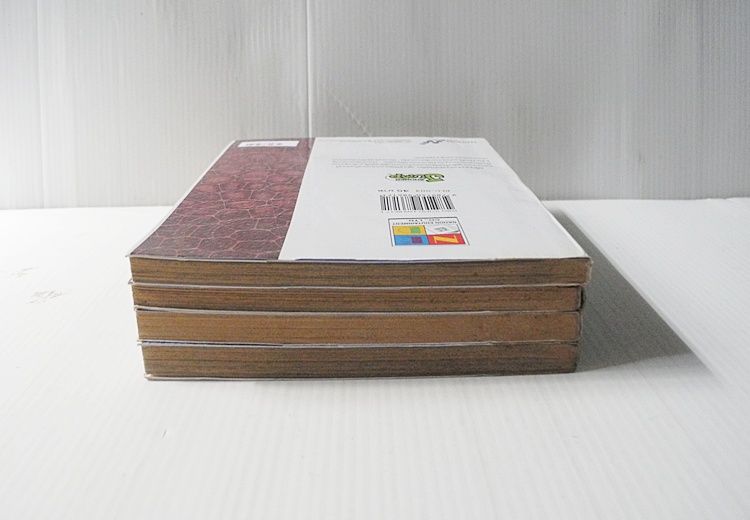 Blue Dragon RAL GRAD 4 เล่มจบ / โอบาตะ ทาเคชิ