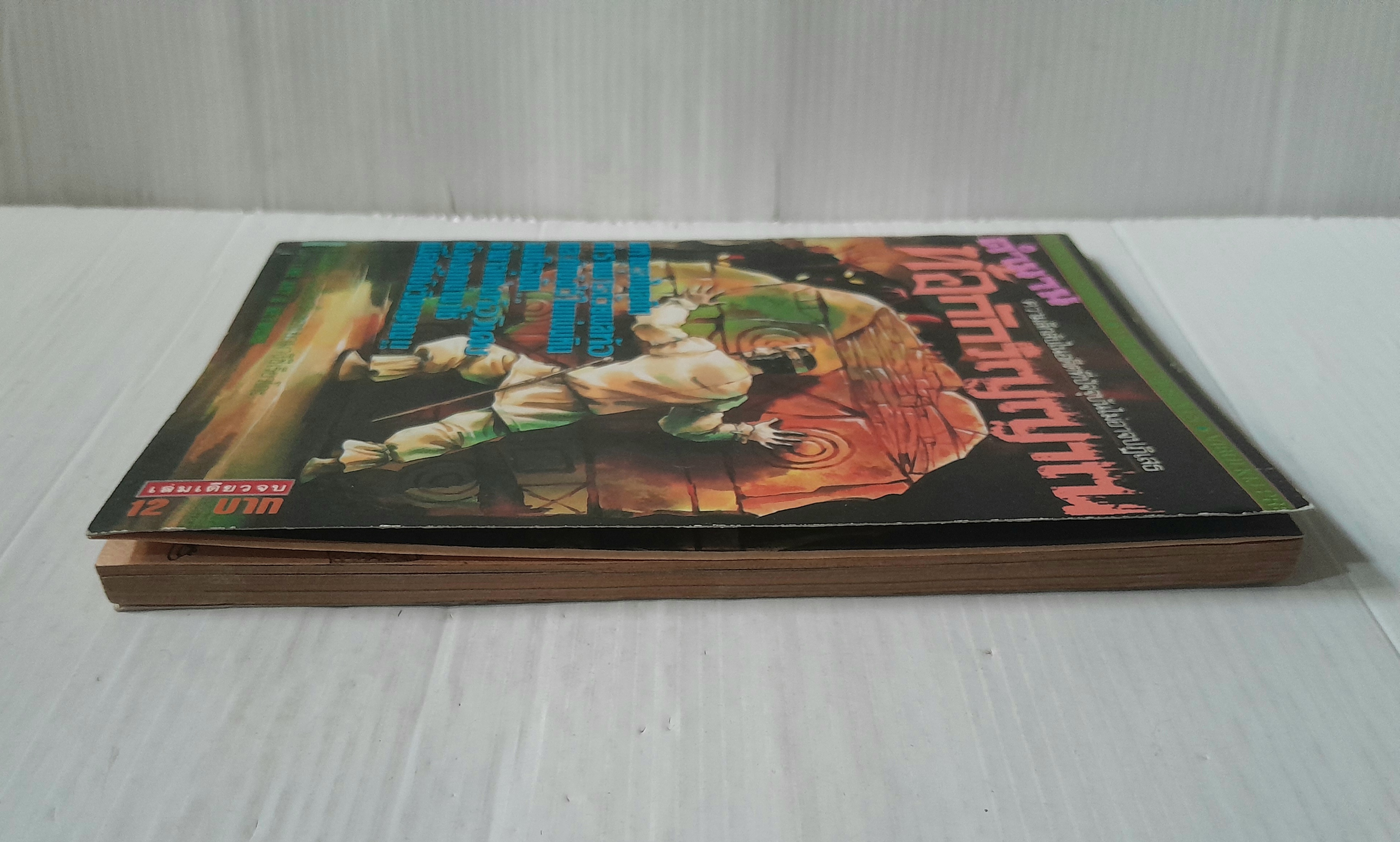 ตำนานท้อกักวิญญาณ (เล่มเดียวจบ) / ยามางิชิ เรียวโกะ