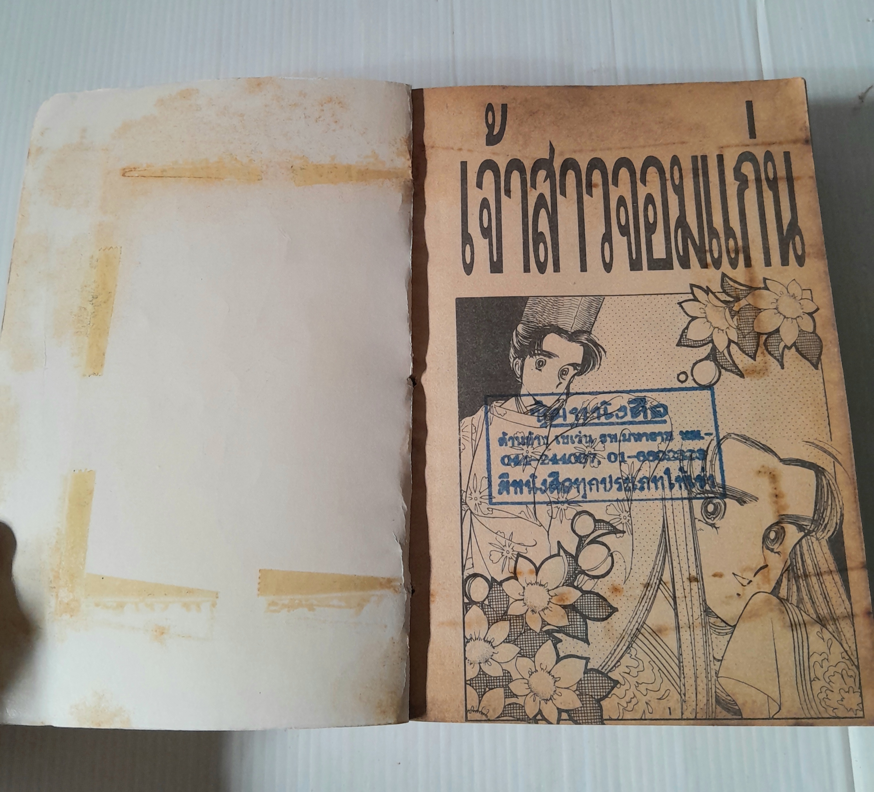 เจ้าสาวจอมแก่น (เล่มเดียวจบ) / Yamauchi Naomi