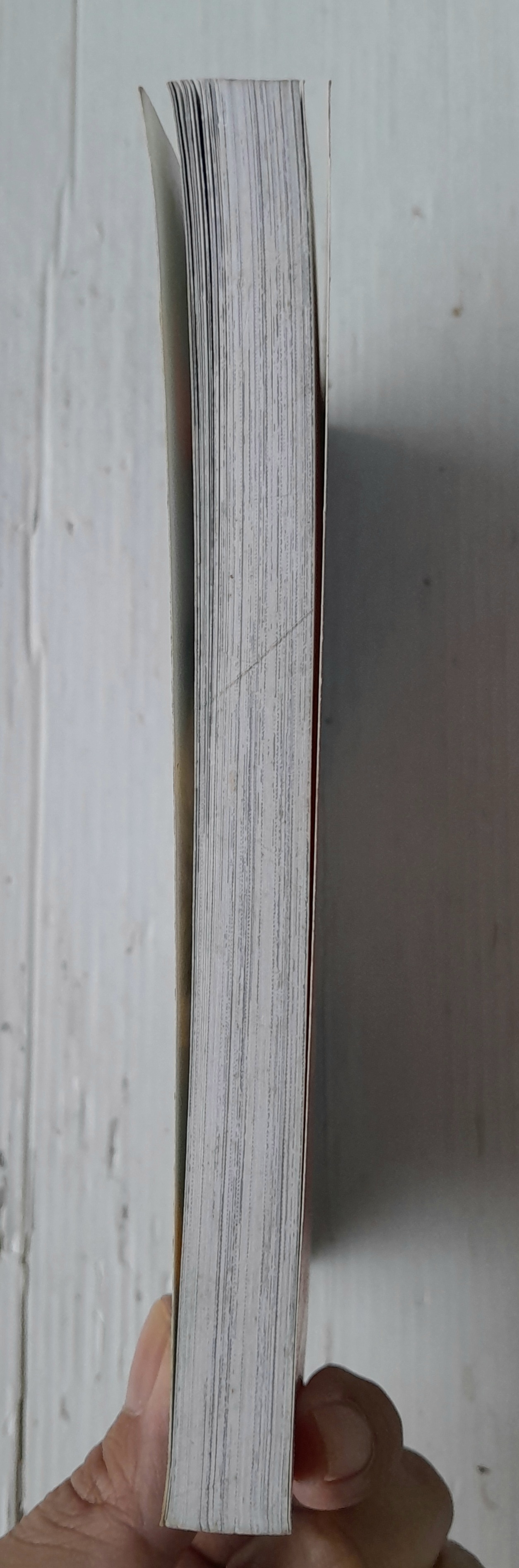 การ์ตูนความรู้ชุดโลกของเรา พิภพมหัศจรรย์ เล่ม 3