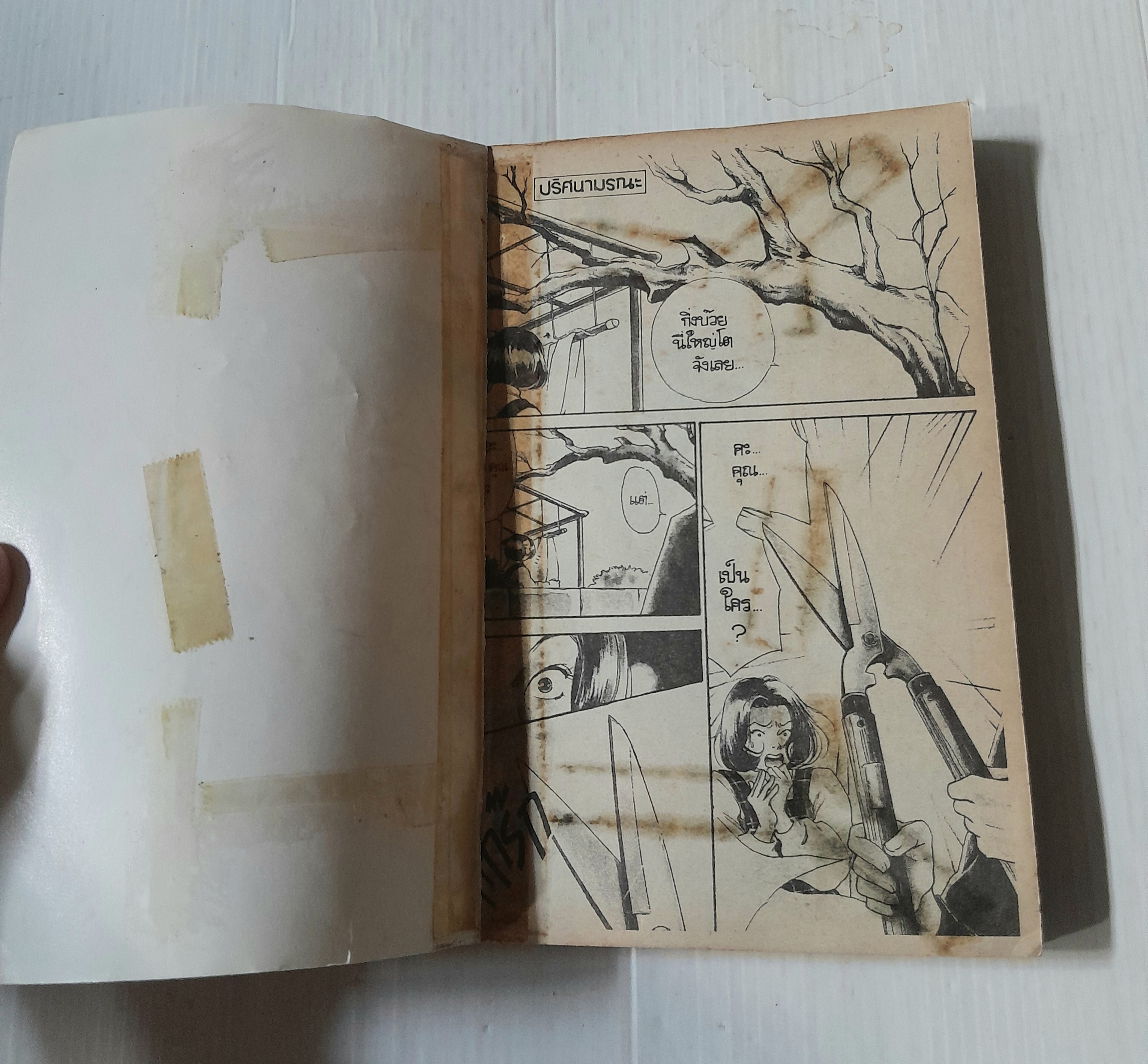 ปริศนา..มรณะ (เล่มเดียวจบ) / Miyawaki Akiko