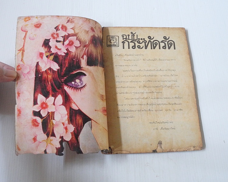 รักฉบับกระเป๋า (เล่มเดียวจบ)
