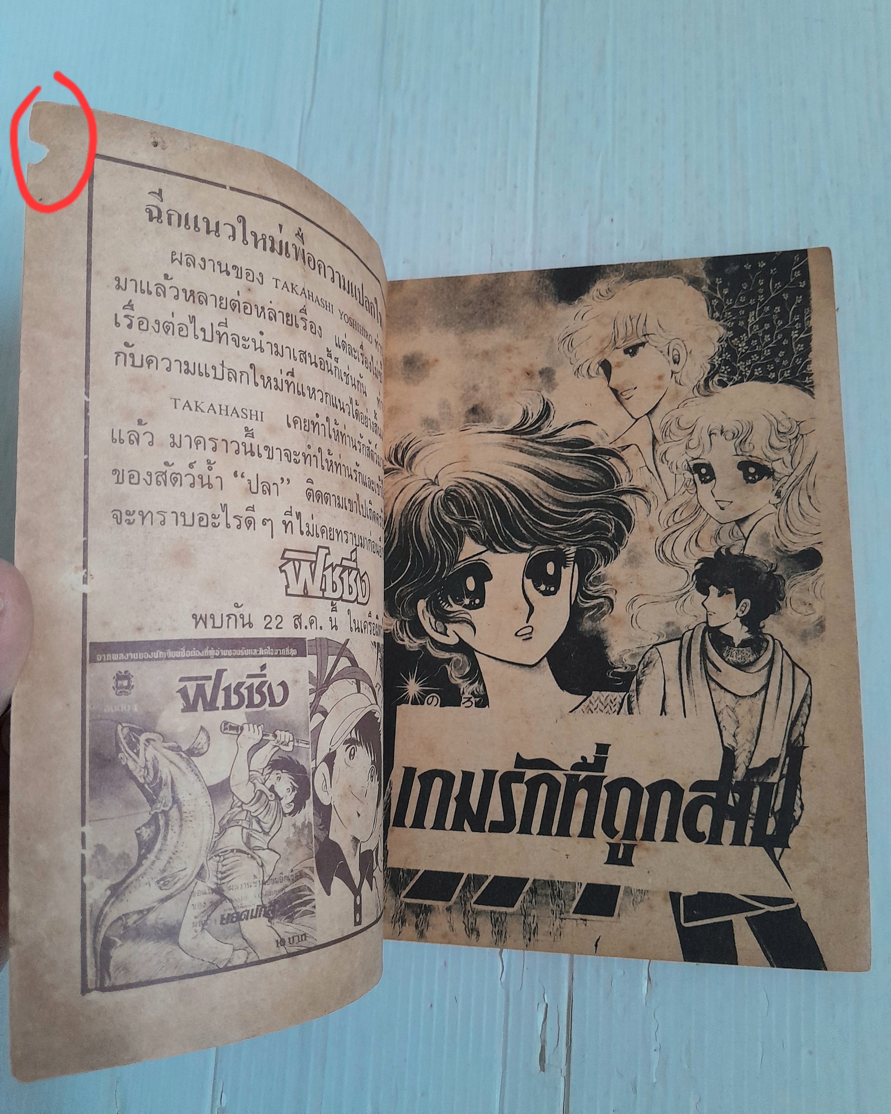 เกมรักที่ถูกสาป (เล่มเดียวจบ)