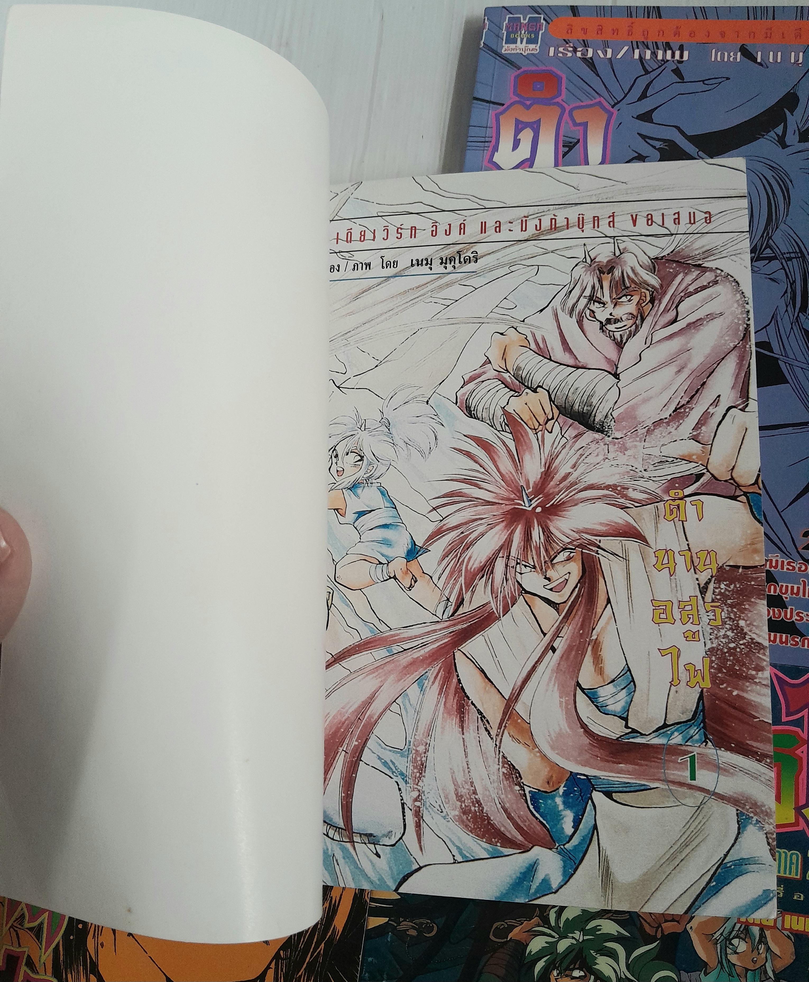 ตำนานอสูรไฟ ภาค 1-2 (ครบชุด 6 เล่มจบ) / Nemu Mukudori