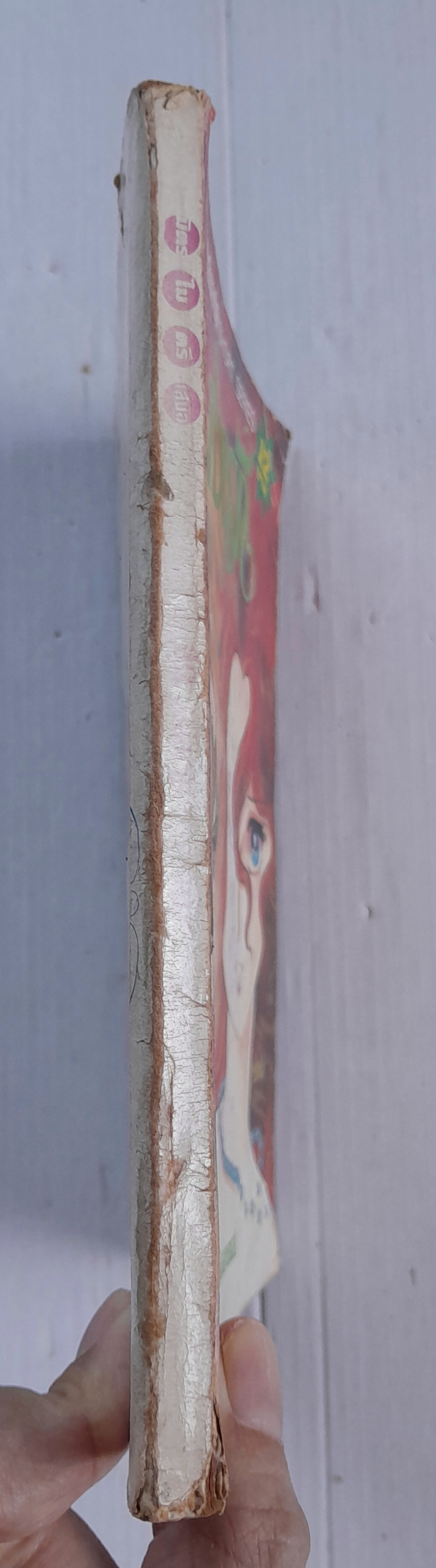 บ่วงรัก (เล่มเดียวจบ)