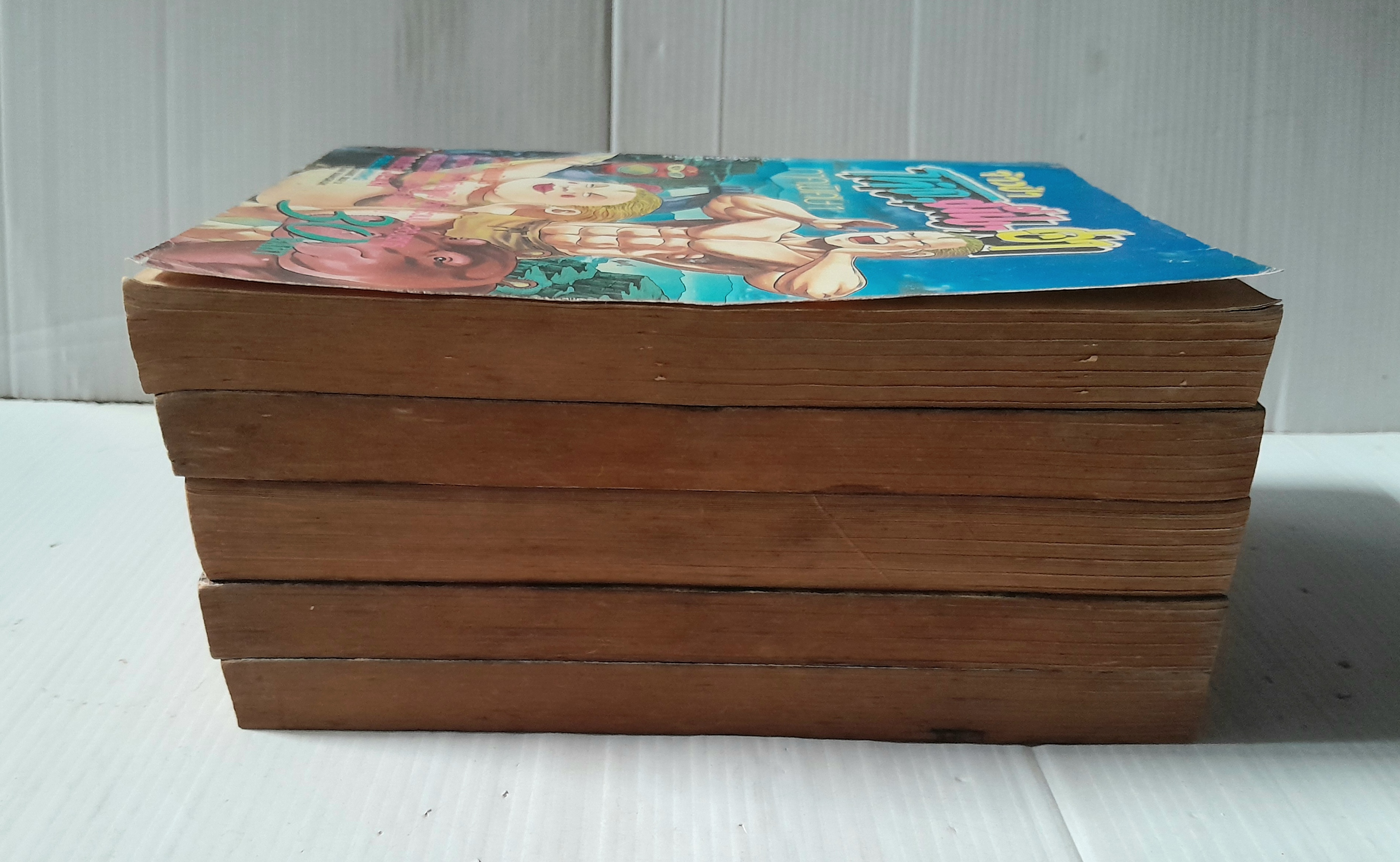 จ้าวป่า โหด มันส์ ฮา (ภาคพิเศษ) 5 เล่มจบ