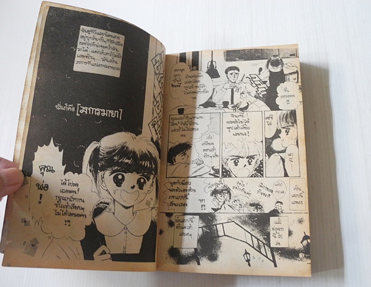 ครอบครัวนี้ไม่ธรรมดา / Akimoto nami