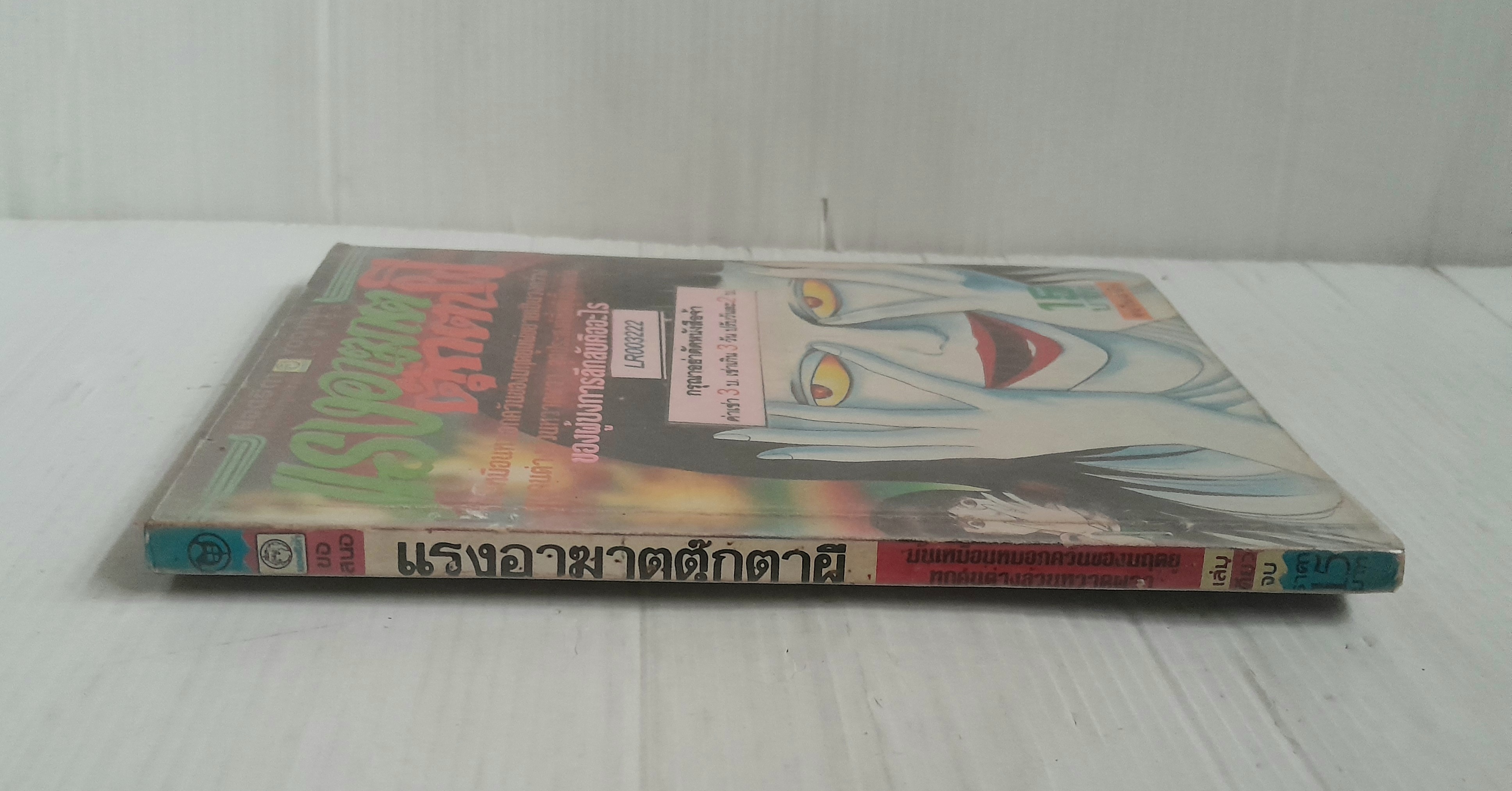 แรงอาฆาตตุ๊กตาผี (เล่มเดียวจบ)