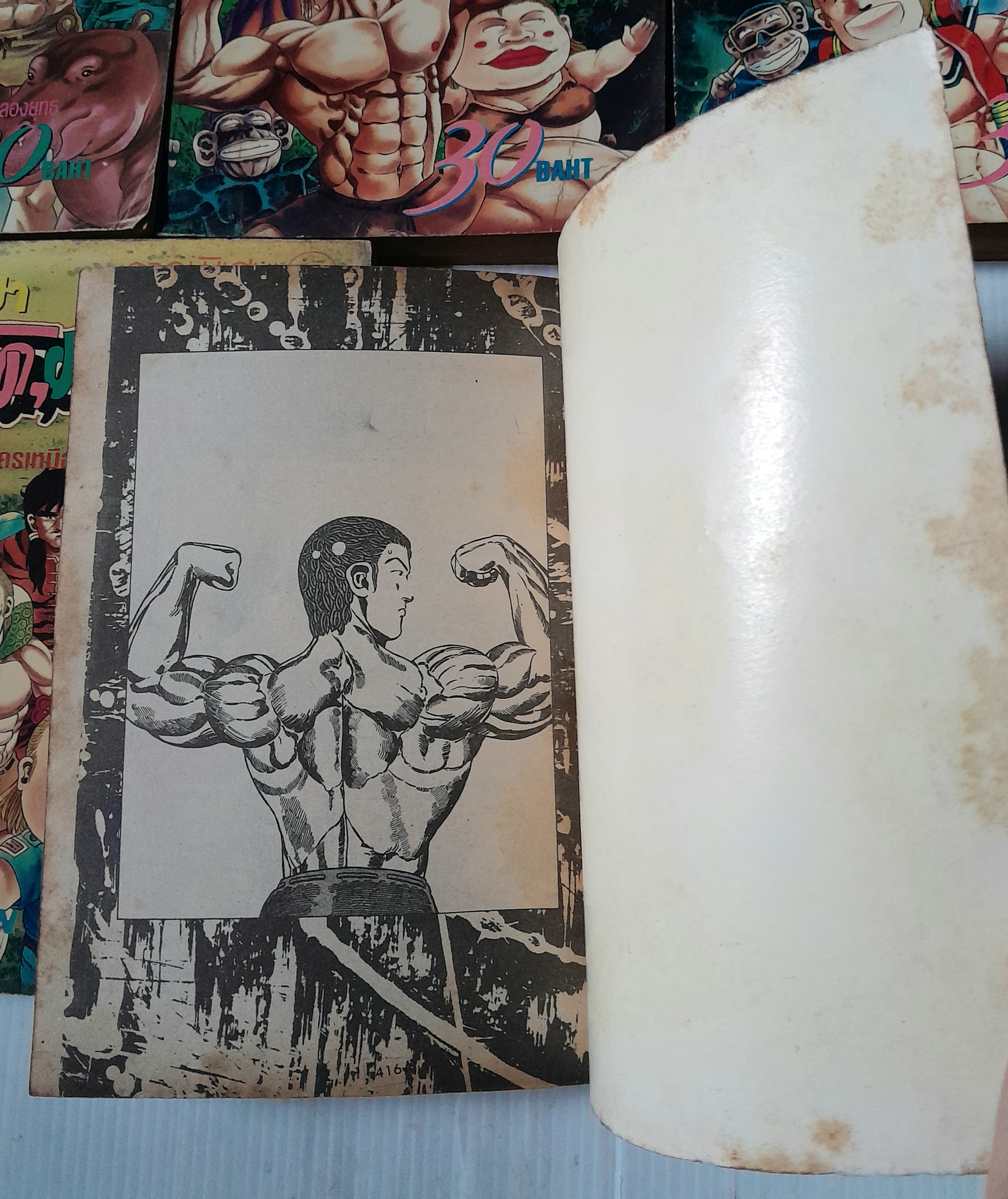 จ้าวป่า โหด มันส์ ฮา (ภาคพิเศษ) 5 เล่มจบ