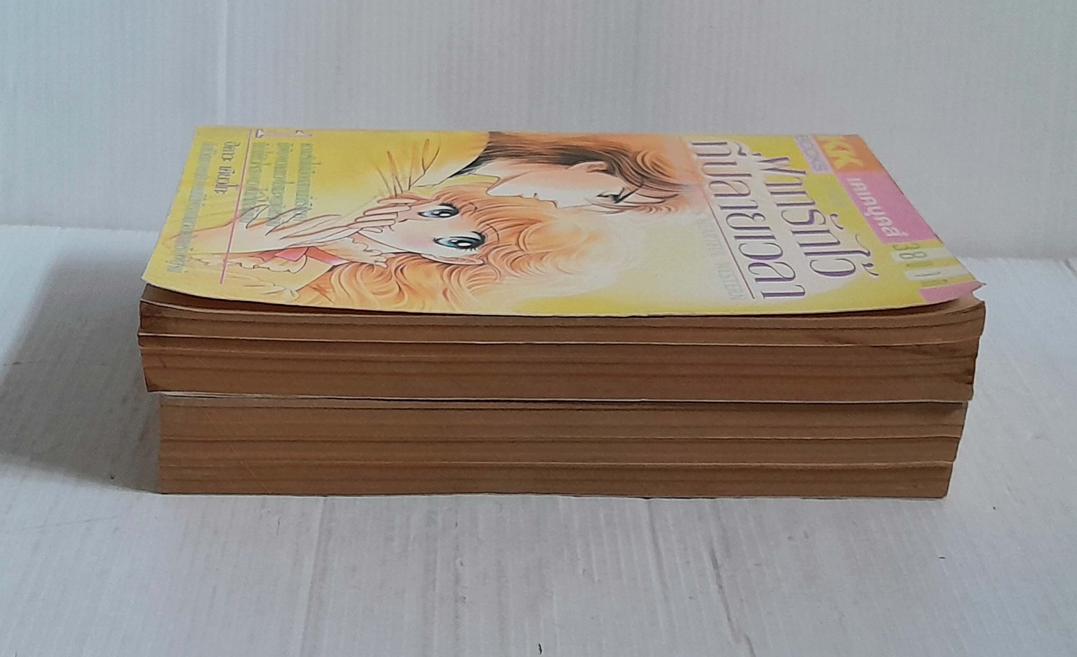 ฝากรักไว้ที่ปลายเวลา 2 เล่มจบ / ฮิคาวะ เคียวโกะ