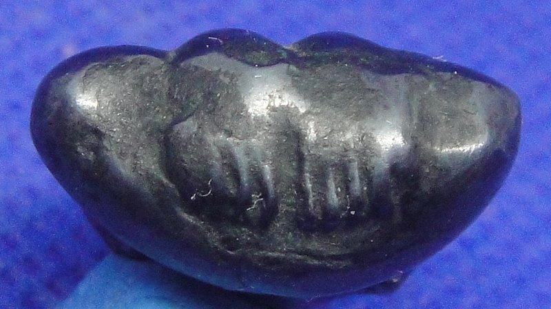 พระปิดตาหลวงพ่อพูล วัดไผ่ล้อม