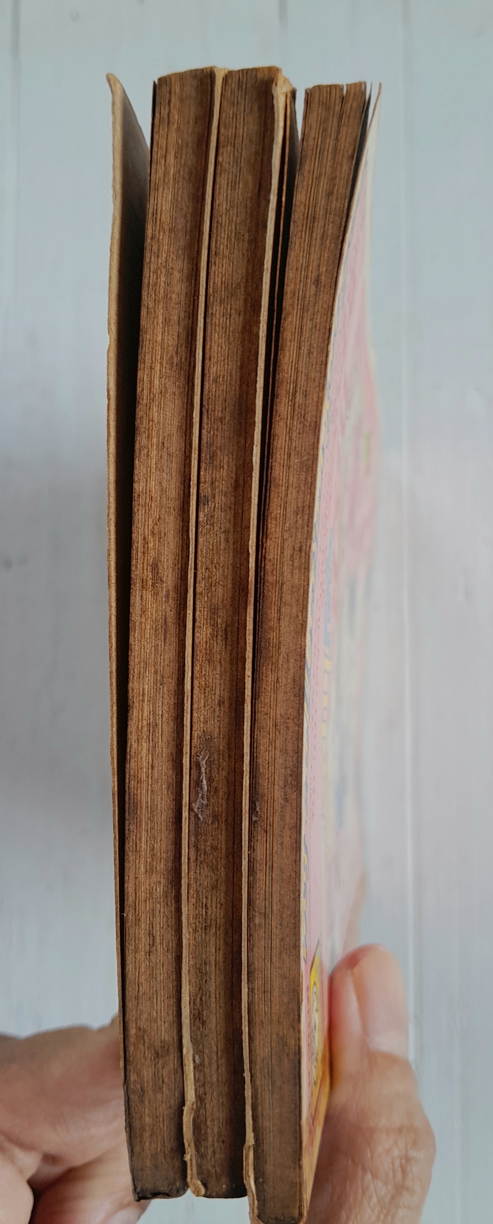 แอนก็คือแอน 3 เล่มจบ / อิงาราชิ ยูมิโกะ