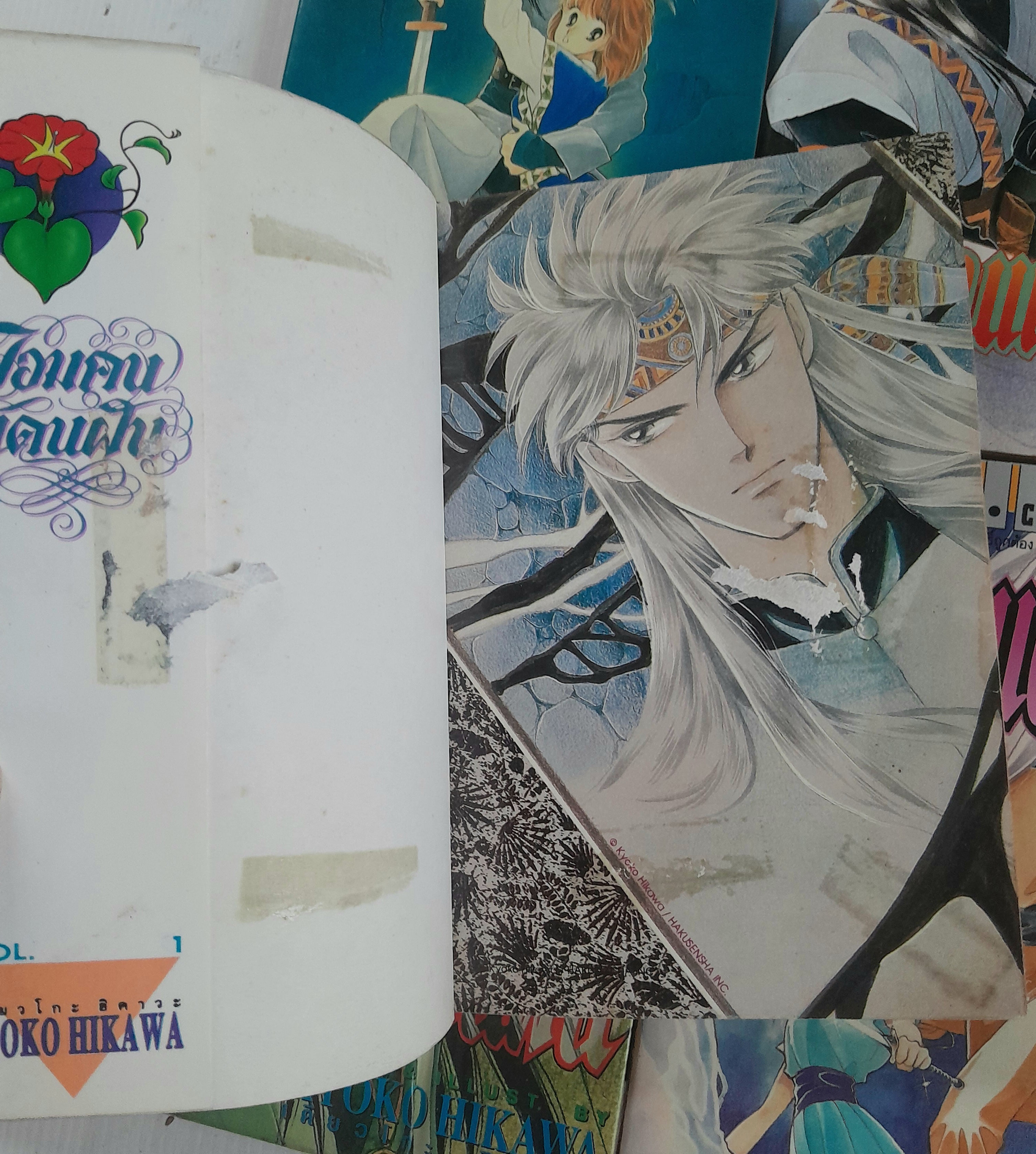 จอมคนแดนฝัน เล่ม 1-11 (14 เล่มจบ) / ฮิคาวะ เคียวโกะ