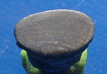 พระชัยวัฒน์ วัดชัยภูมิวนาราม(วัดป่า)