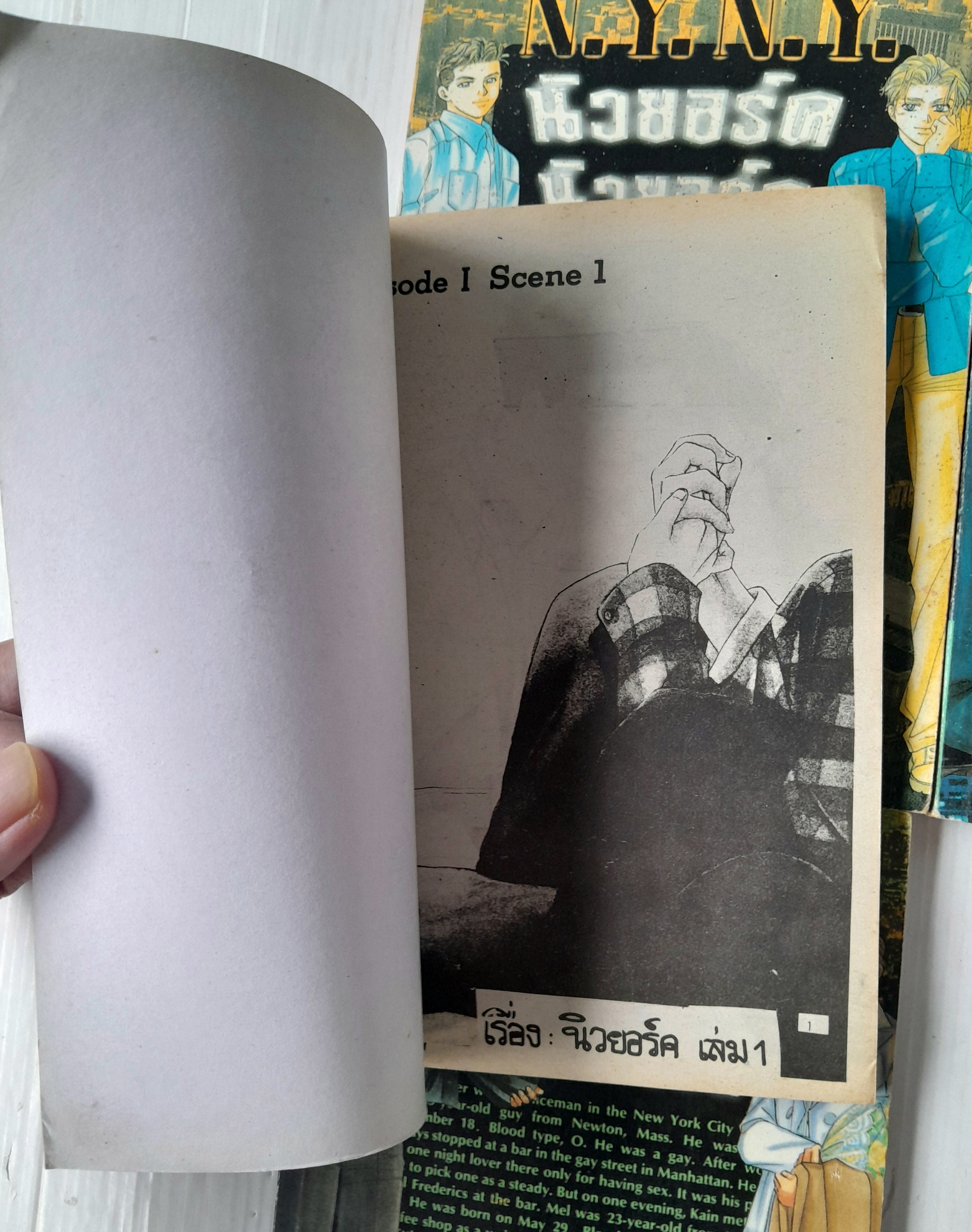 นิวยอร์ค นิวยอร์ค 4 เล่มจบ / Marimo Ragawa