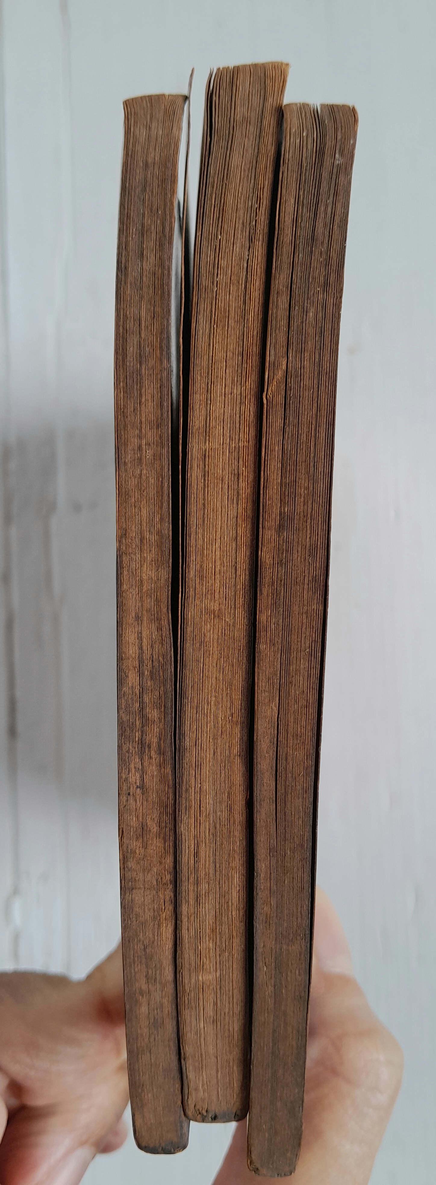 ทัวร์ริ่งเอ็กซ์เพรส 3 เล่มจบ / Kawasou Masumi