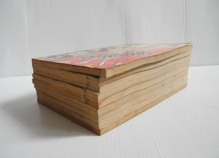 สายเลือดนักกีฬาสะเก็ตสาว 9 เล่มจบ