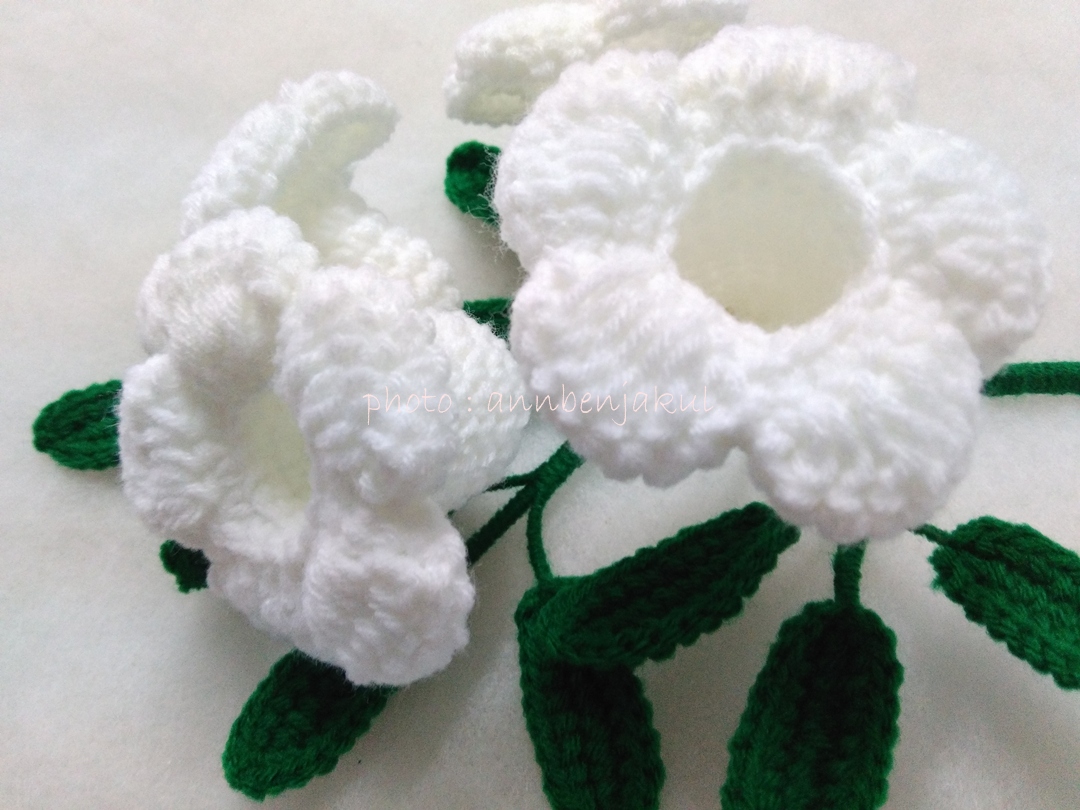 บานบุรีถักสีขาว (white color allamanda)
