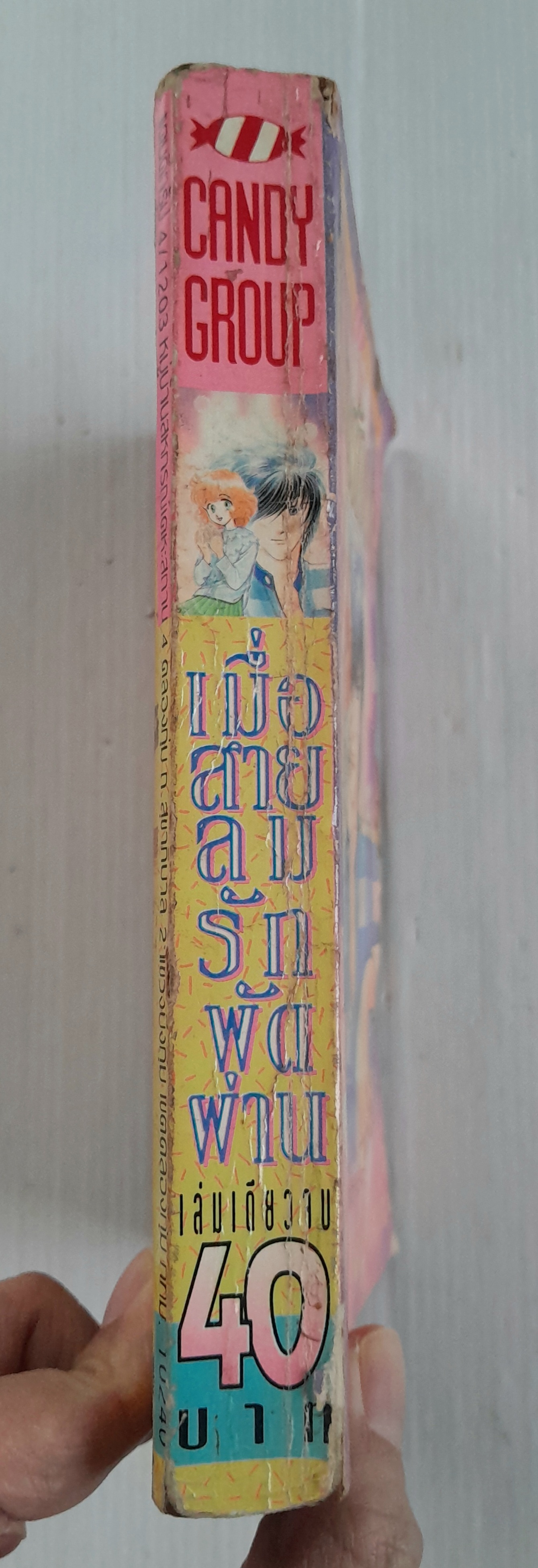 เมื่อสายลมรักพัดผ่าน (เล่มเดียวจบ) / ฮิคาวะ เคียวโกะ