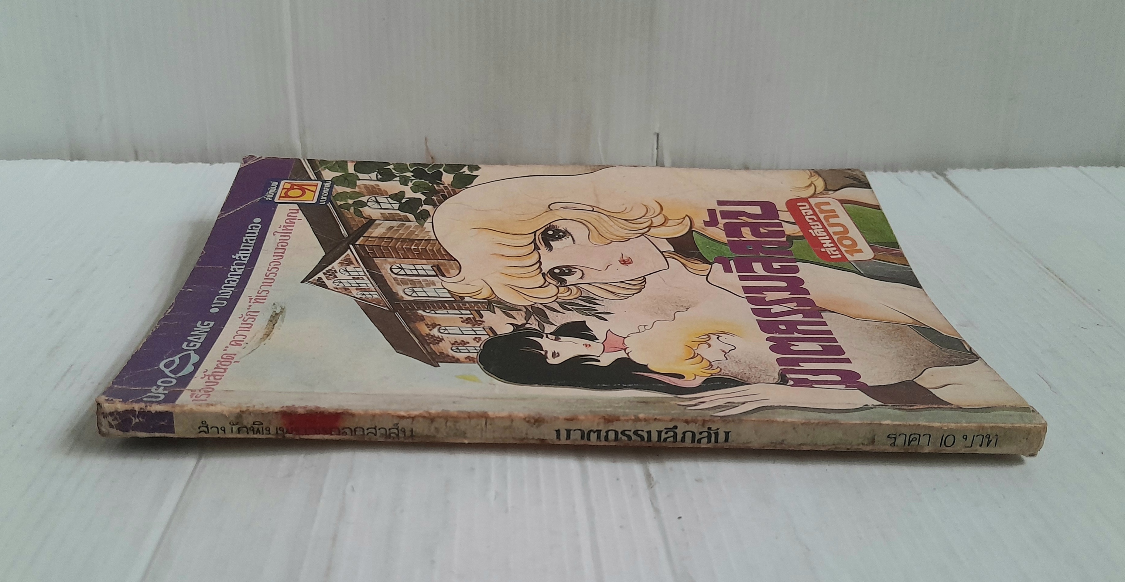 ฆาตกรรมลึกลับ (เล่มเดียวจบ)