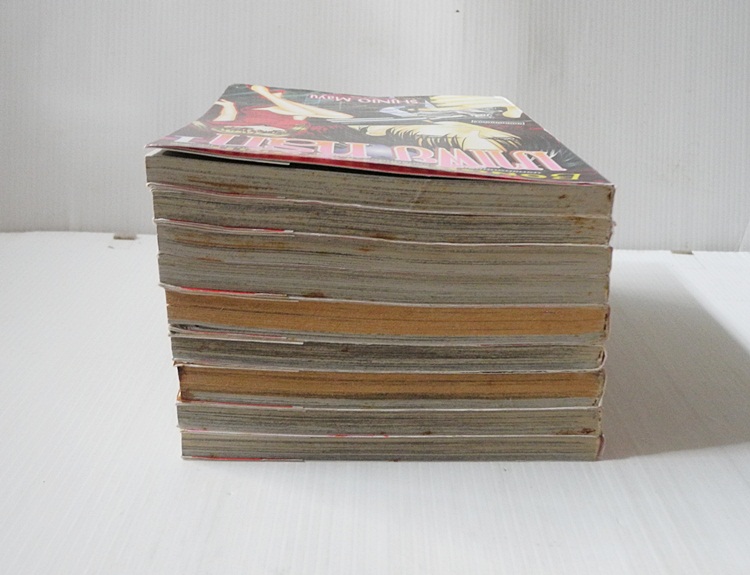 มาเฟียที่รัก 9 เล่มจบ / ชินโจ มายู