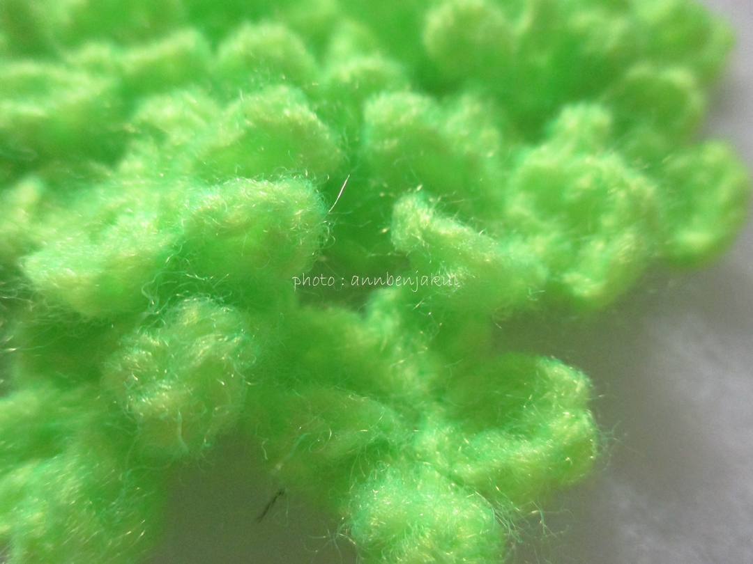 ดอกไม้จิ๋วสีเขียว