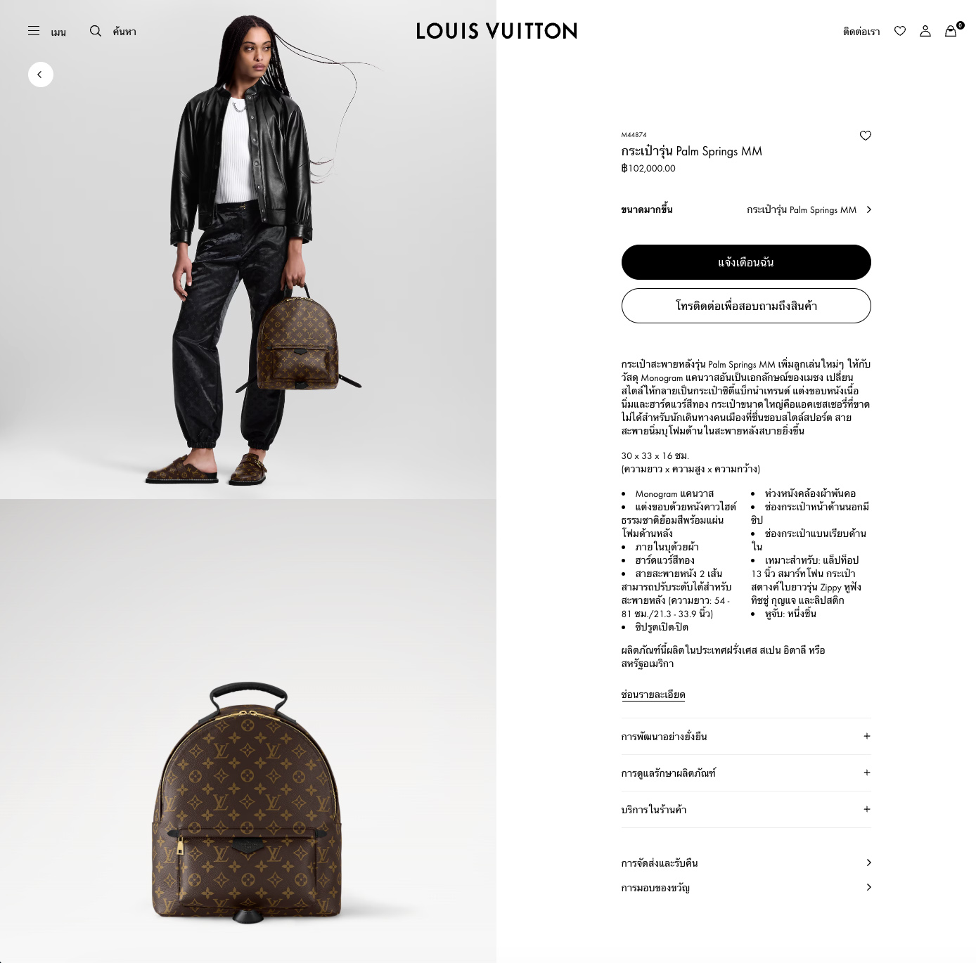 Louis Vuitton Monogram Palm Spring MM