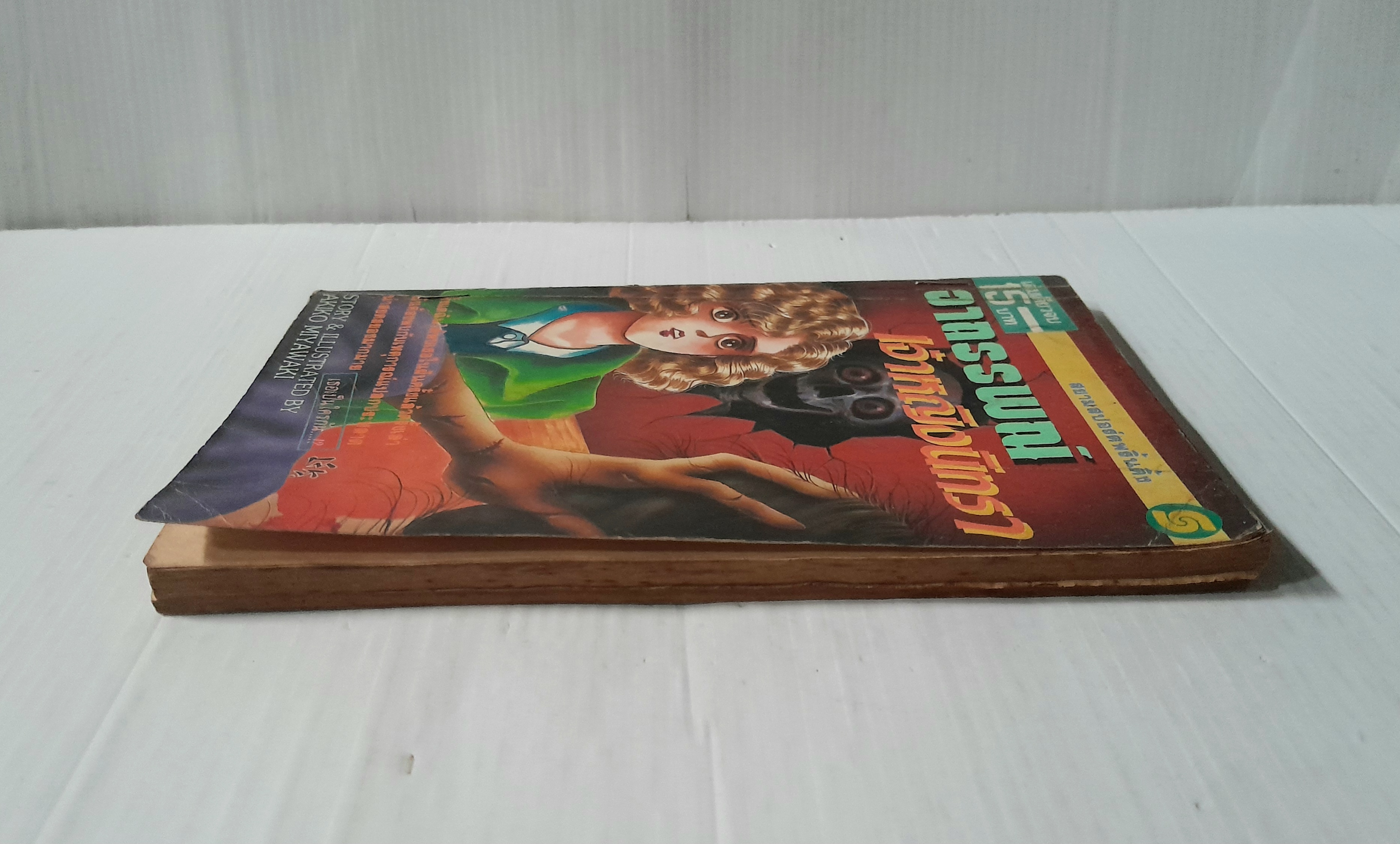 อาถรรพณ์เจ้าหญิงนิทรา (เล่มเดียวจบ) /Akiko Miyawaki