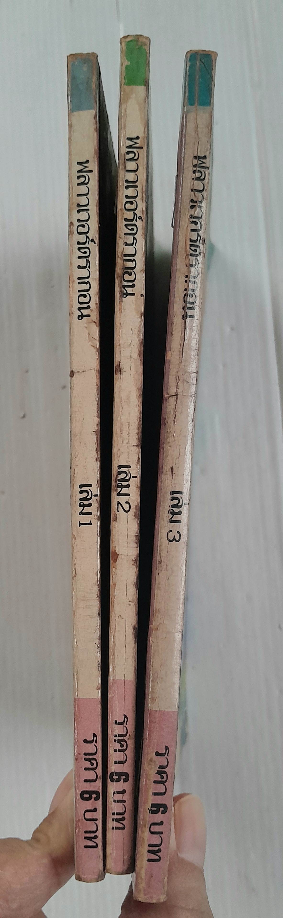 ฟลาวเวอร์ดราก้อน 3 เล่มจบ / Nakayama Seika