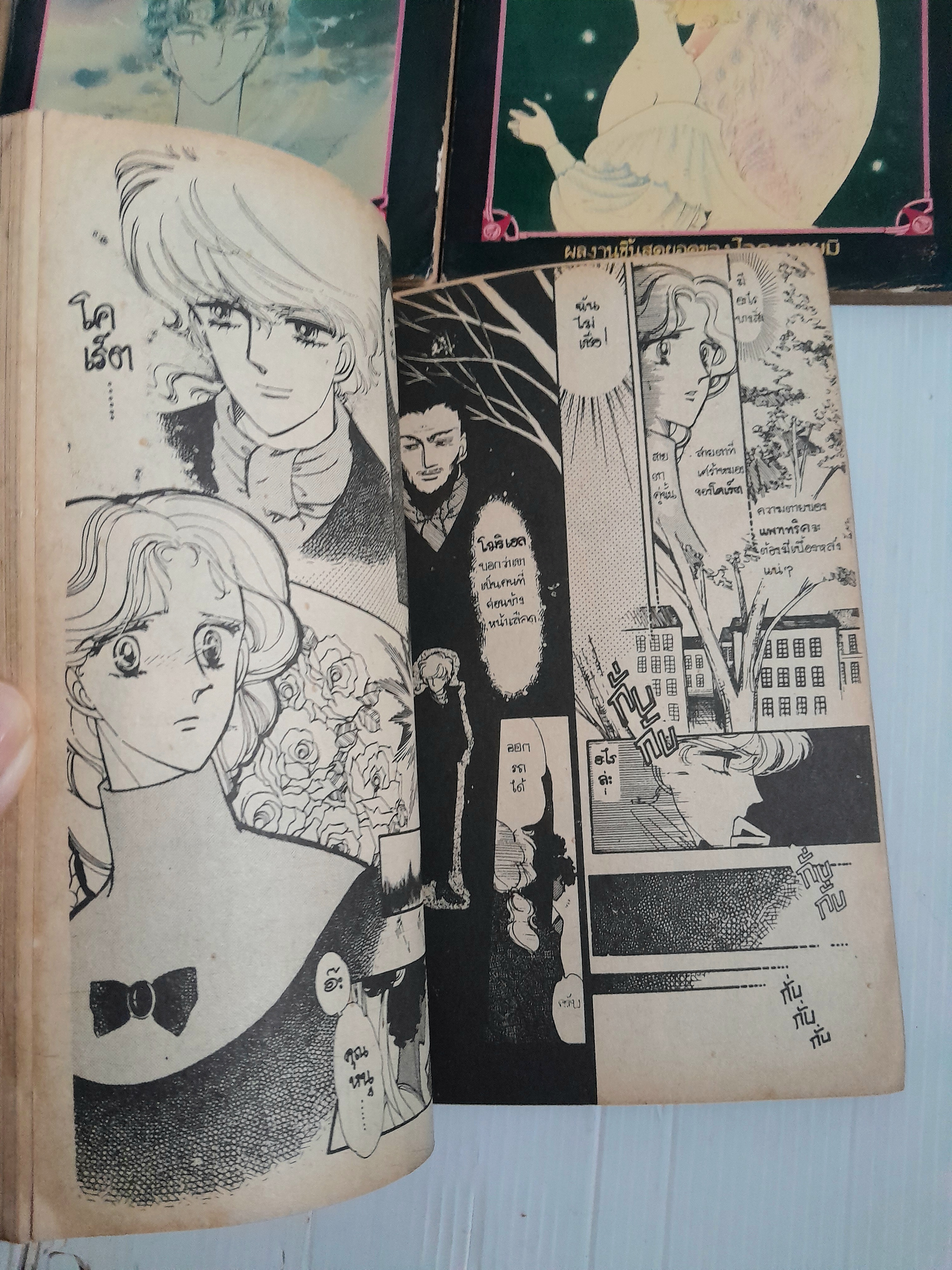 สวนปริศนา 4 เล่มจบ / ไอดะ มายูมิ