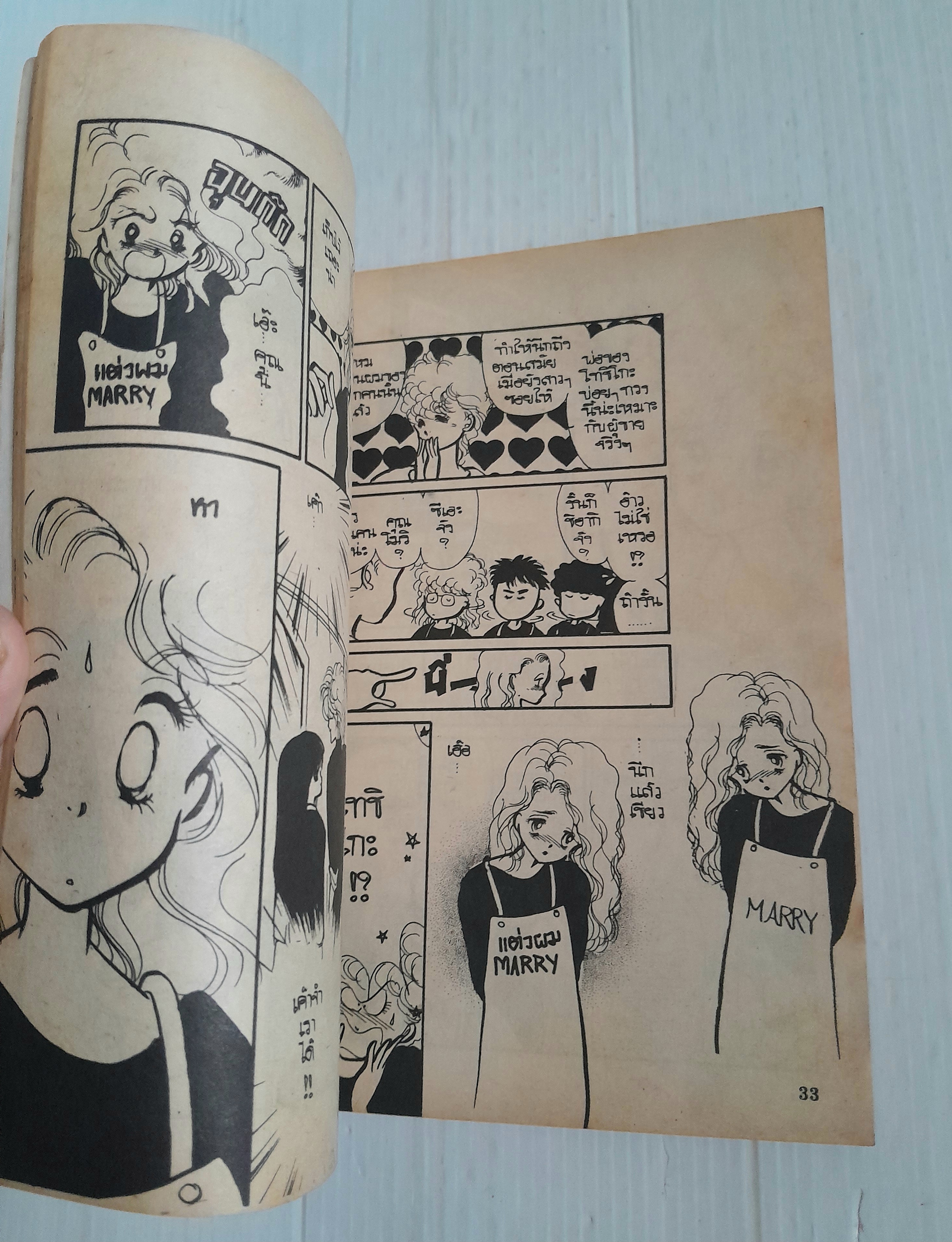 รักเปรี้ยวๆ (เล่มเดียวจบ)