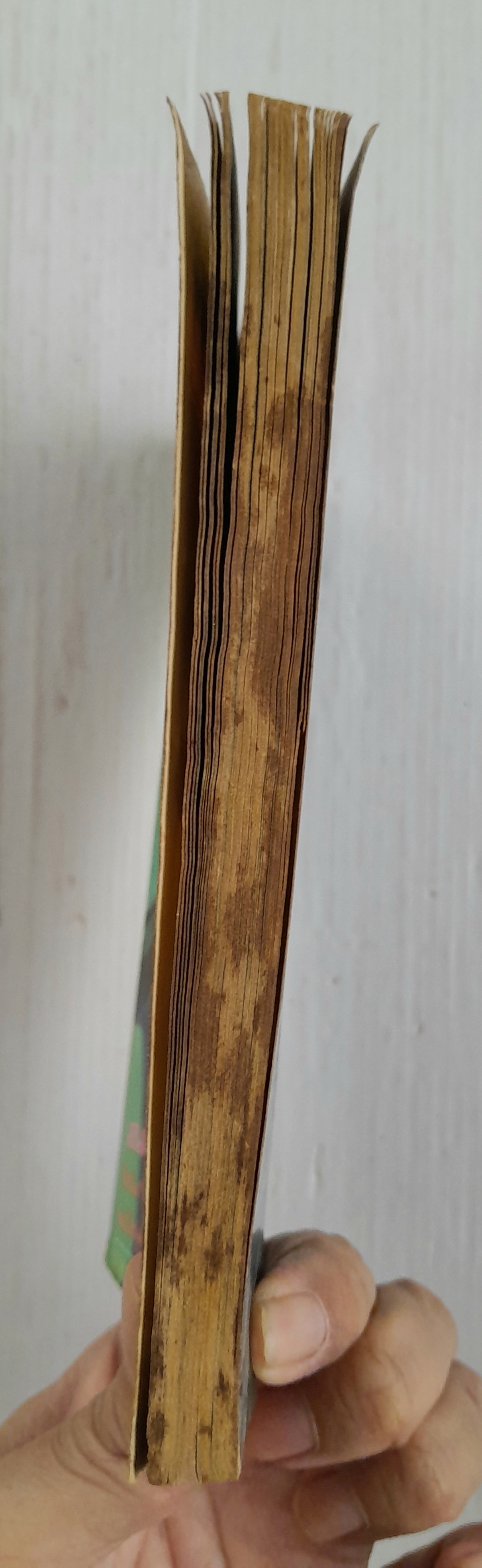 หมอผีเจ้าเสน่ห์ (เล่มเดียวจบ) / Hattori Ayumi