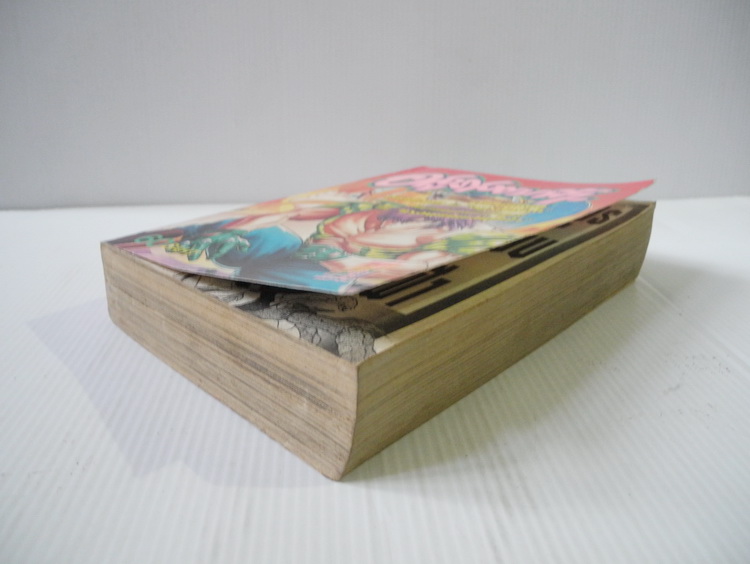 อสูรสยบฟ้า (เล่มเดียวจบ)