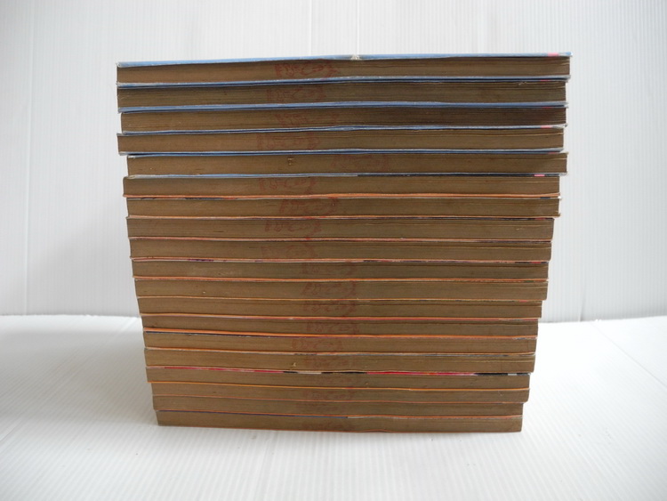 บอดี้การ์ดสาวจอมซ่าส์ 19 เล่มจบ