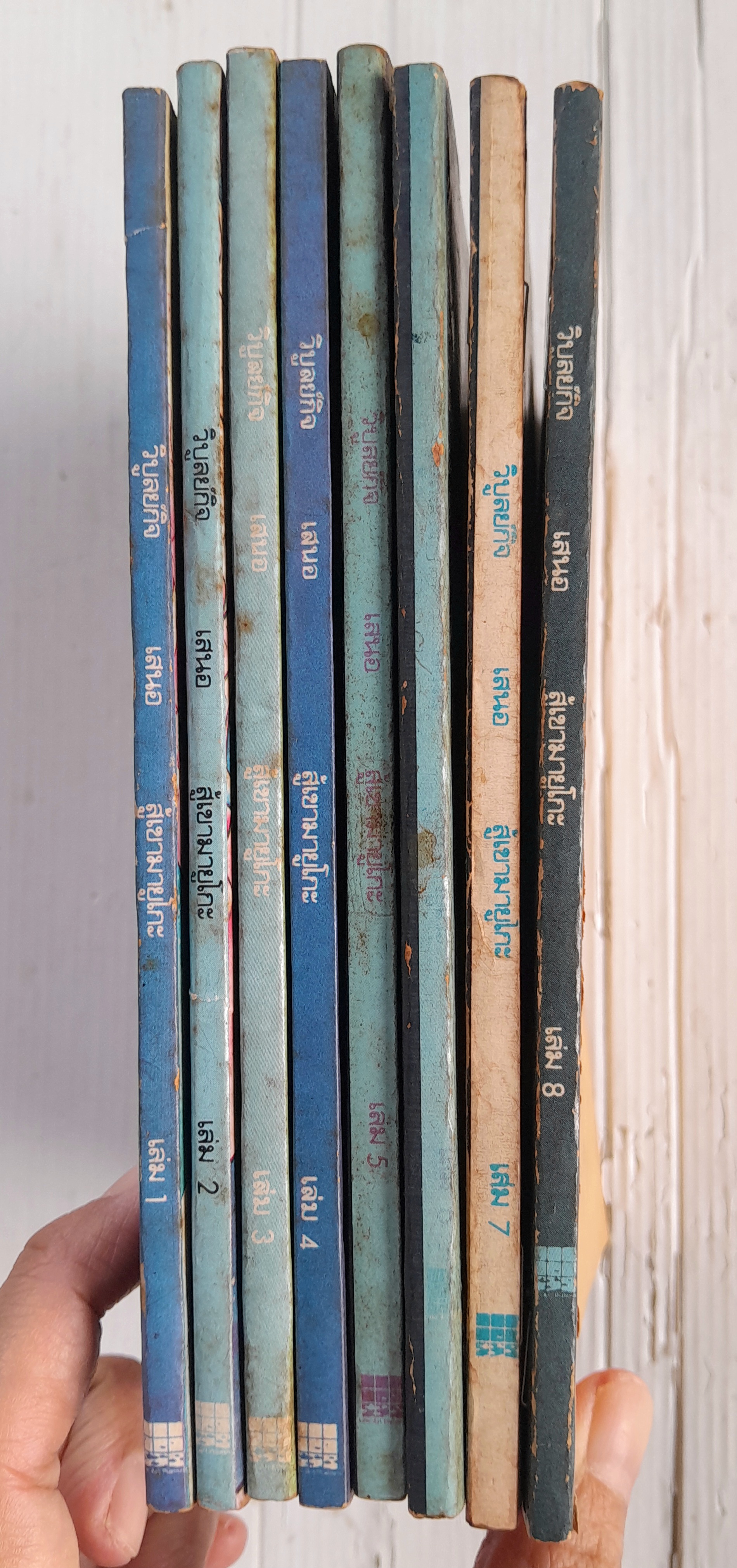 สู้เขามายูโกะ 8 เล่มจบ / ชิบาตะ อายูโกะ