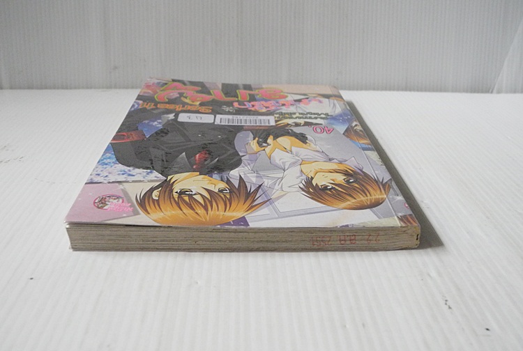 เสน่ห์รักมายู Series 11 (เล่มเดียวจบ) / Mayu Shinjo