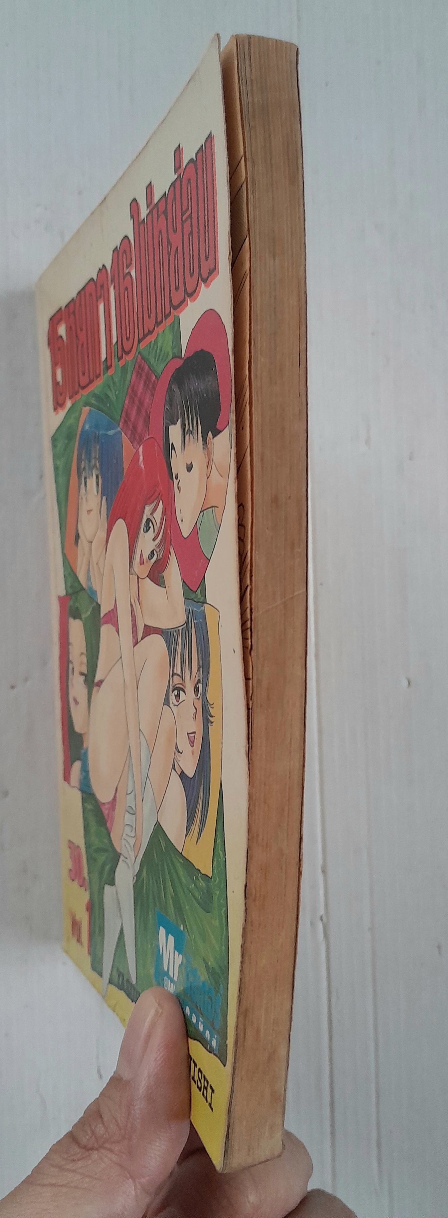 15 หยกๆ 16 ไม่หย่อน เล่ม 1 / Yasuhiro Nakanishi