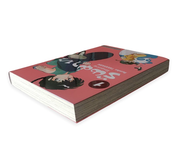 รันม่า 1/2 ไอ้หนุ่มกังฟู เล่ม 1