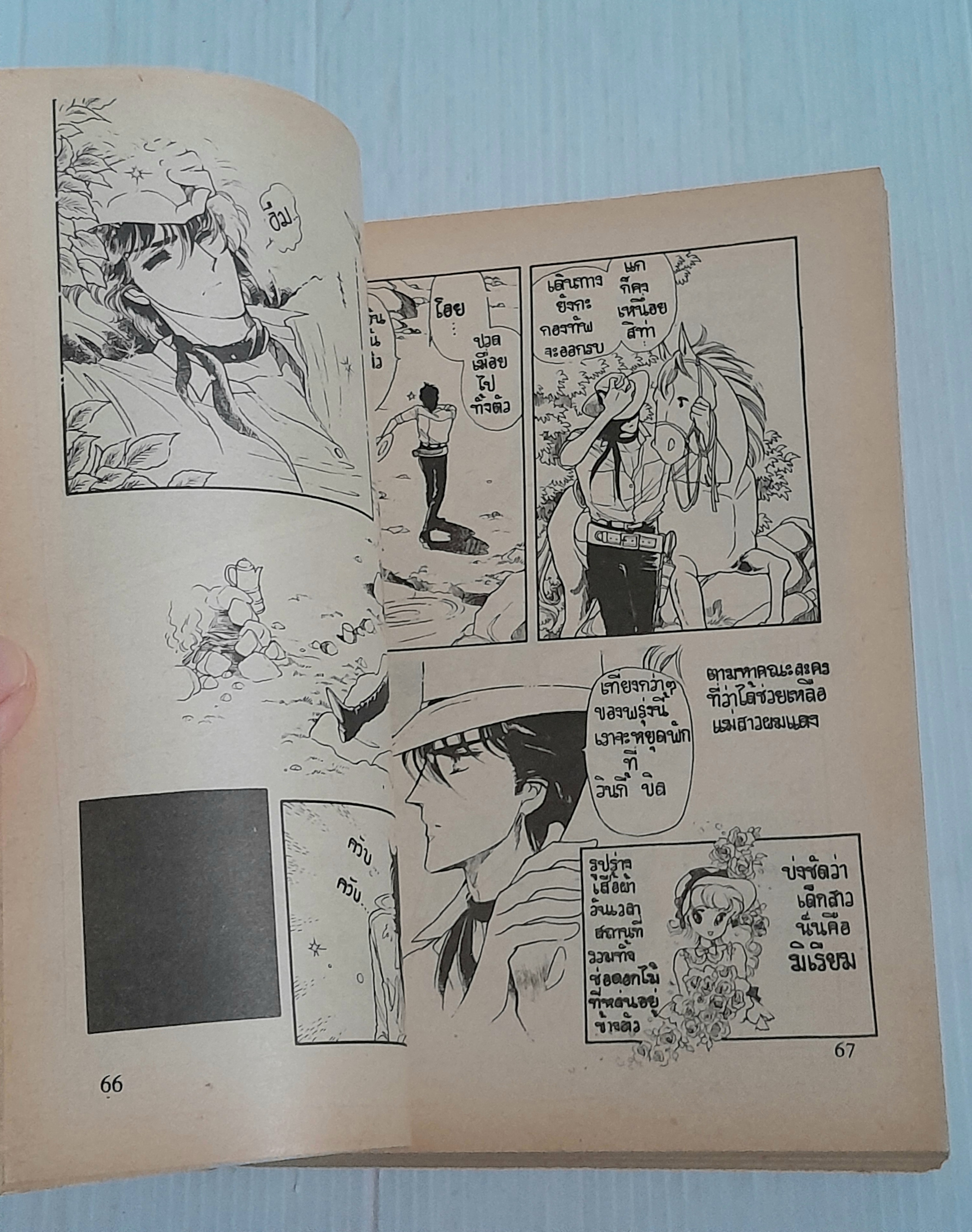 ฝากรักไว้ที่ปลายเวลา 2 เล่มจบ / ฮิคาวะ เคียวโกะ