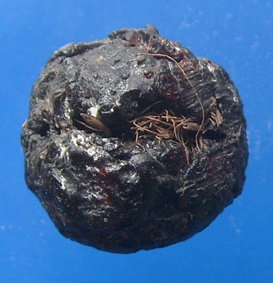 ลูกอมชานหมากหลวงพ่อเถิ่ง