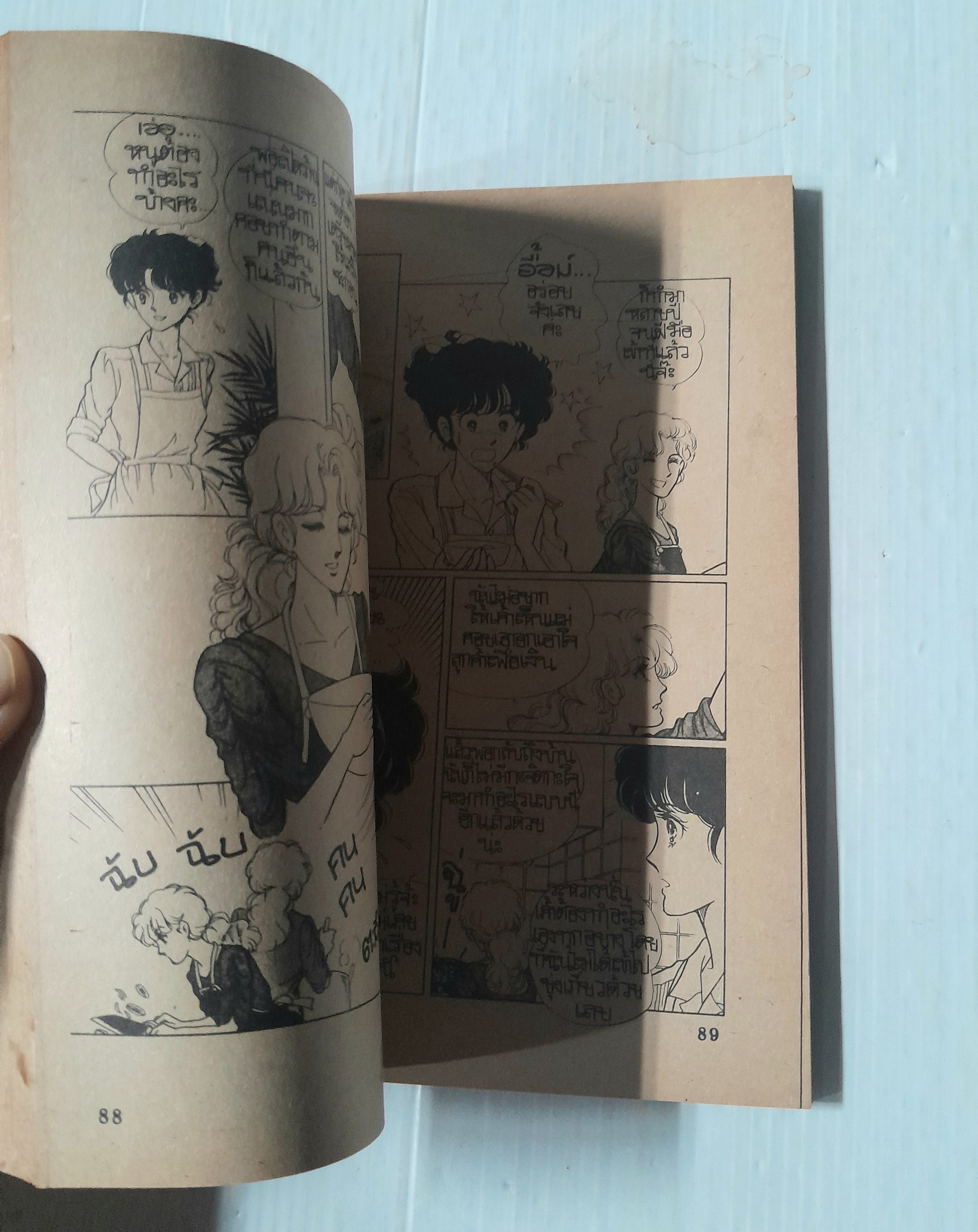 ซินเดอเรลล่าเลือกคู่ (เล่มเดียวจบ) / Kawa Akira