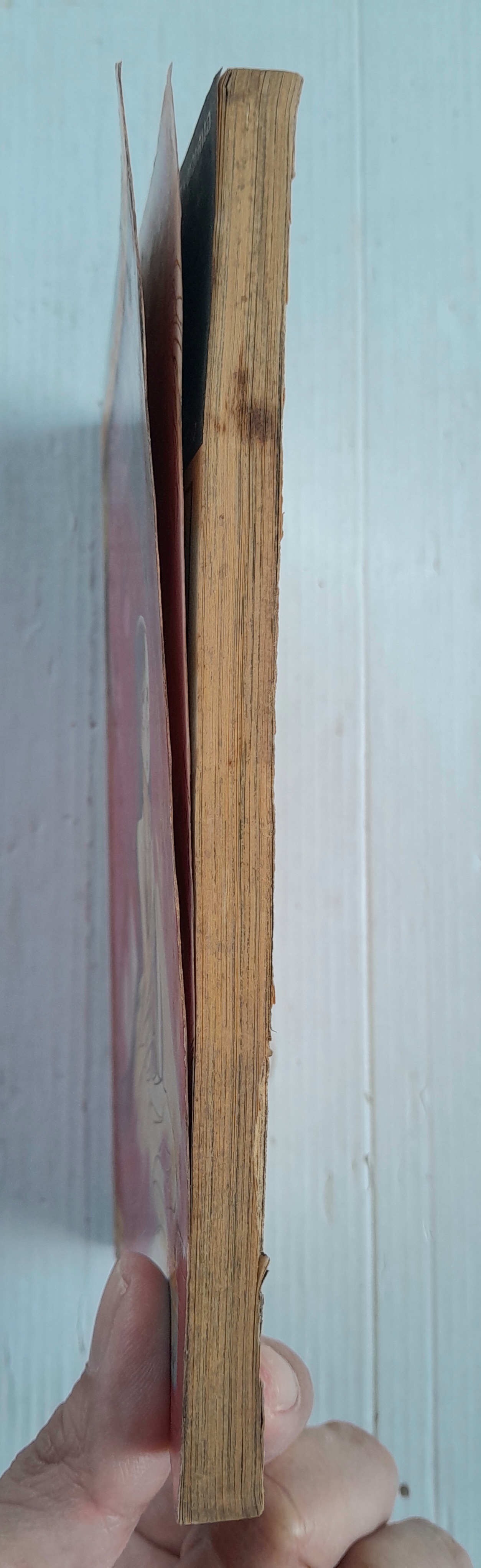 จิตฆาตกร (เล่มเดียวจบ)