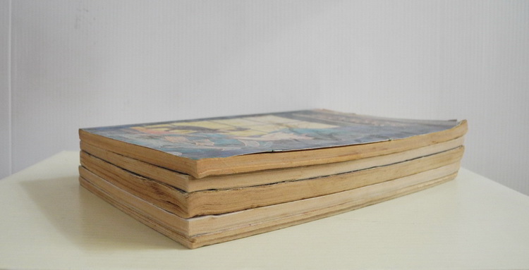 เพอเพิลอาย เล่ม 11 / Chie Shinohara