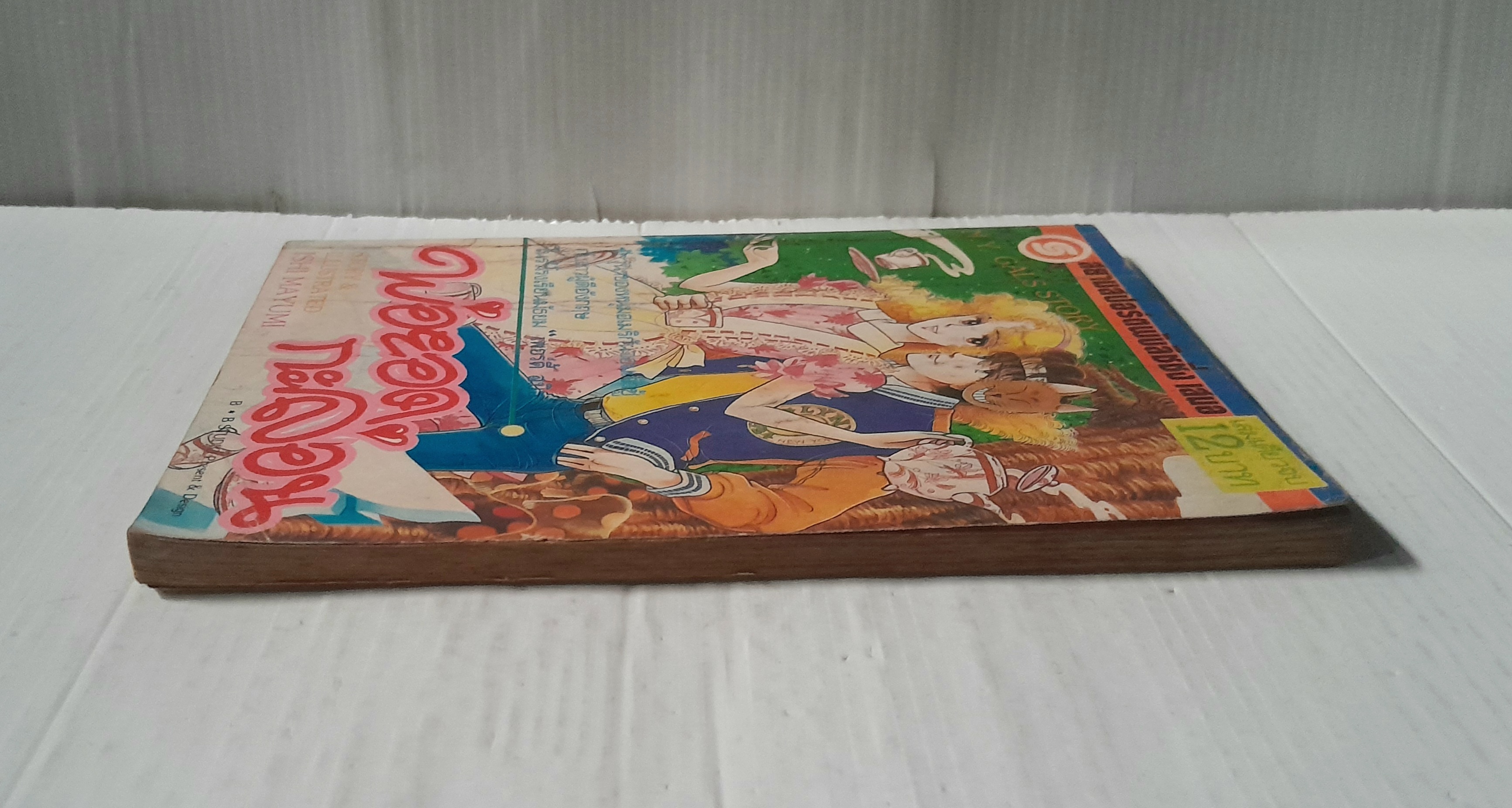 พ่อยอดกะล่อน (เล่มเดียวจบ) / Ishi Mayumi