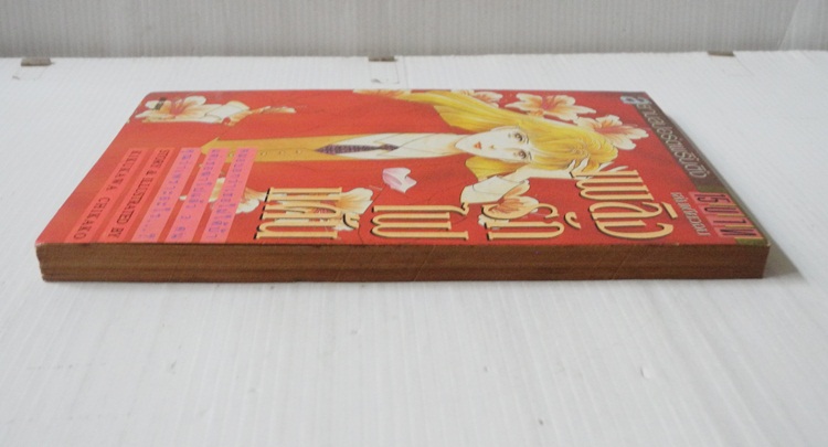 เพลิงรักไฟแค้น (เล่มเดียวจบ) / Kikukawa Chikako