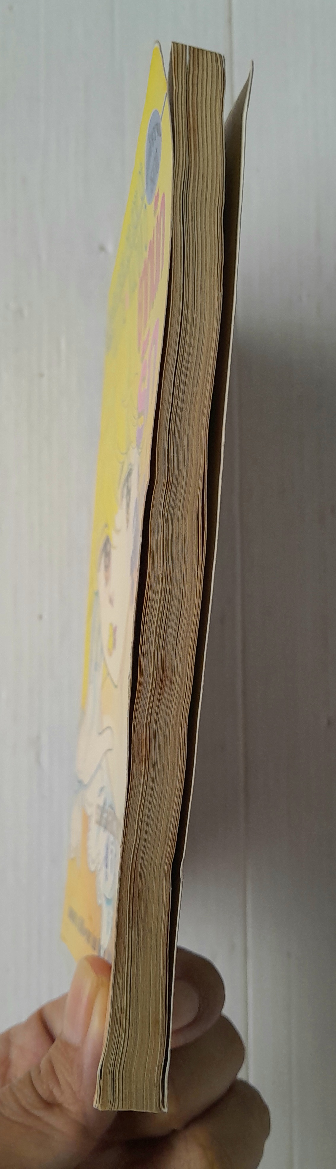 ยากนักรักวุ่นวุ่น (เล่มเดียวจบ) / Fujita kazuko